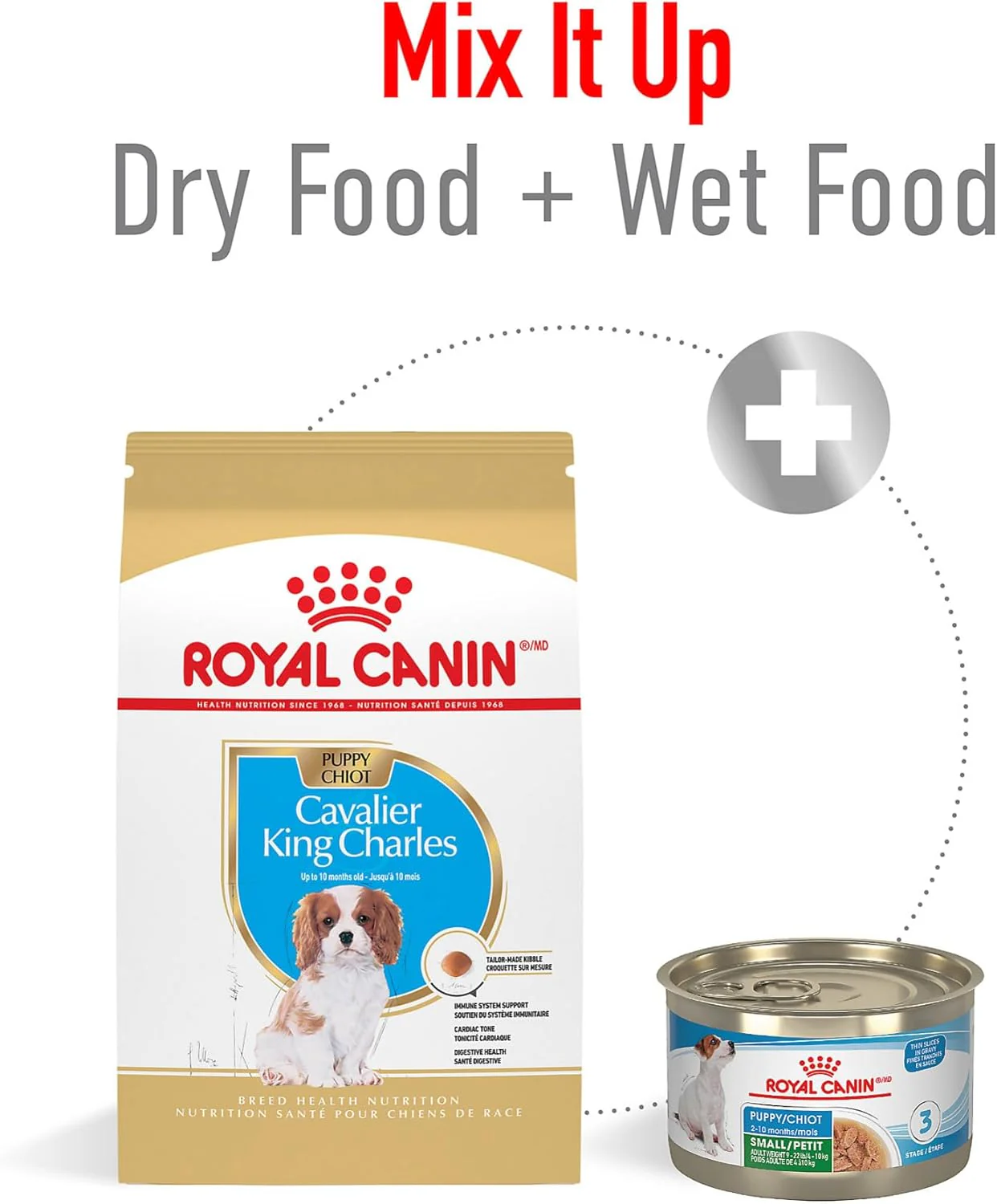 Royal Canin Breed Health Nutrition Cavalier King Charles Puppy Dry Dog Food - Image 6