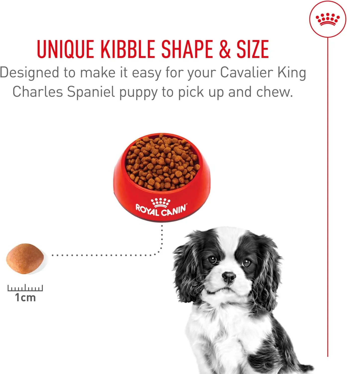 Royal Canin Breed Health Nutrition Cavalier King Charles Puppy Dry Dog Food - Image 7
