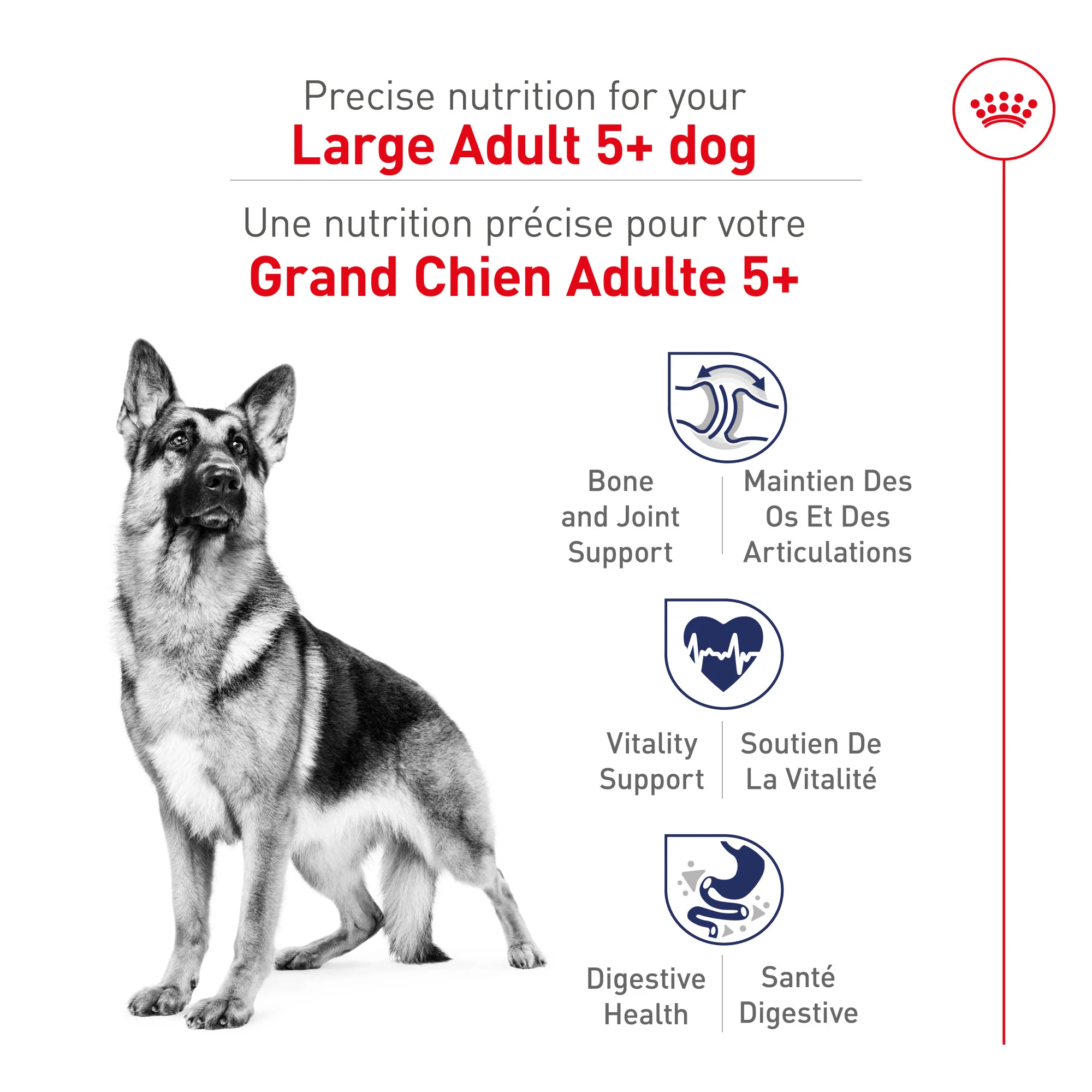 Royal Canin Dog Food Large Aging Care Adult 5+ - Image 3