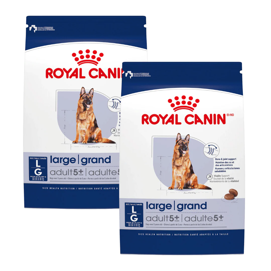 Royal Canin Dog Food Large Aging Care Adult 5+ - Image 7