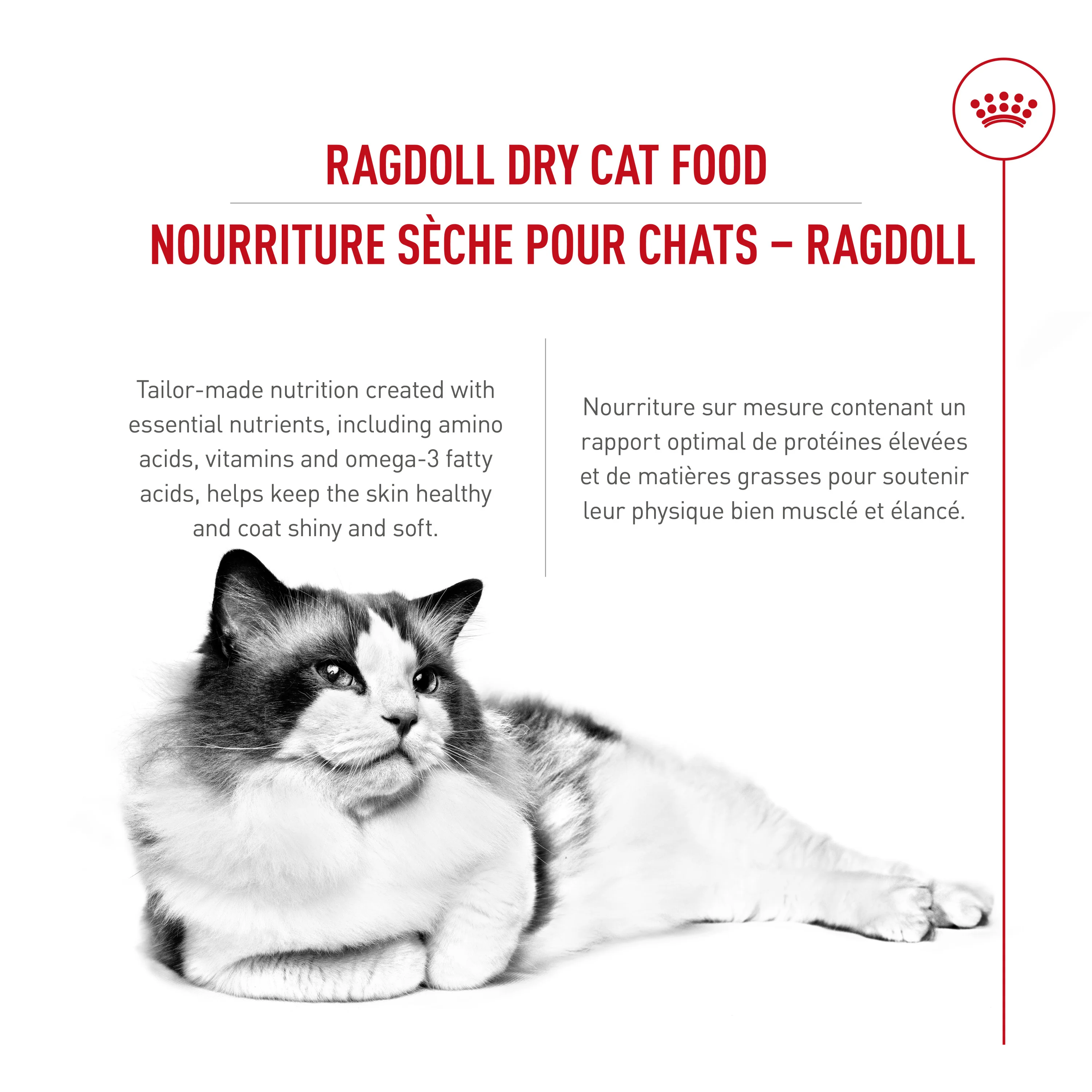 Royal Canin Feline Breed Nutrition Ragdoll Adult Dry Cat Food - Image 3