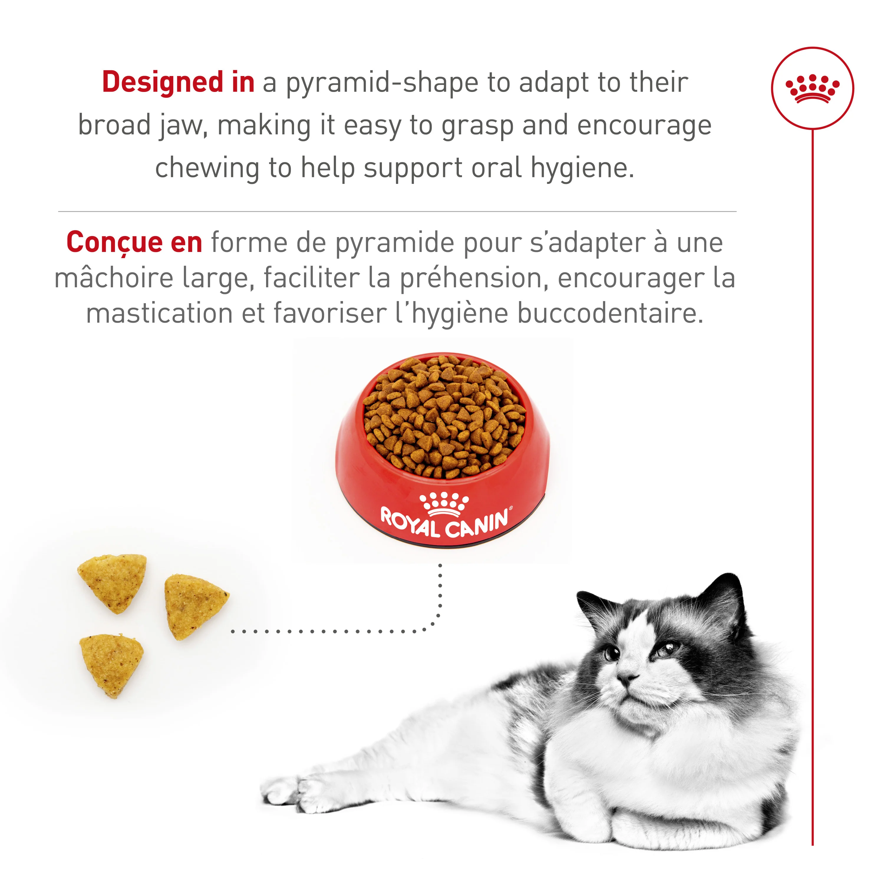 Royal Canin Feline Breed Nutrition Ragdoll Adult Dry Cat Food - Image 5