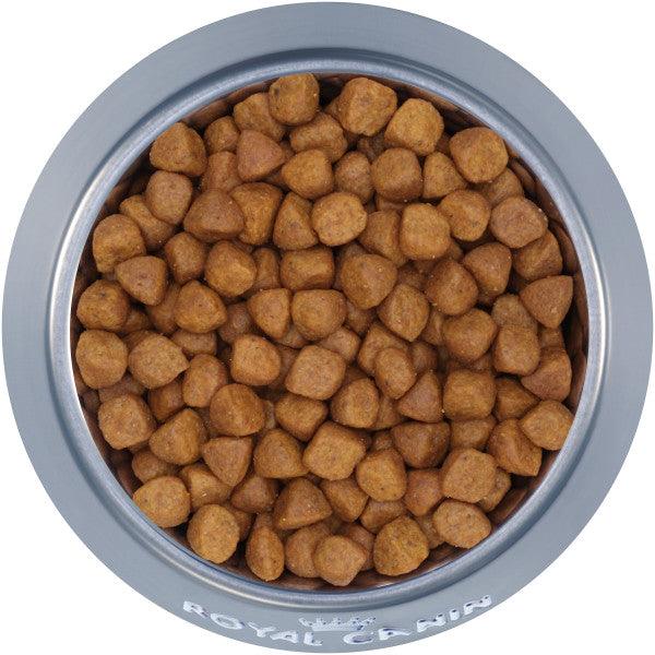 Royal Canin Feline Breed Nutrition Ragdoll Adult Dry Cat Food - Image 8