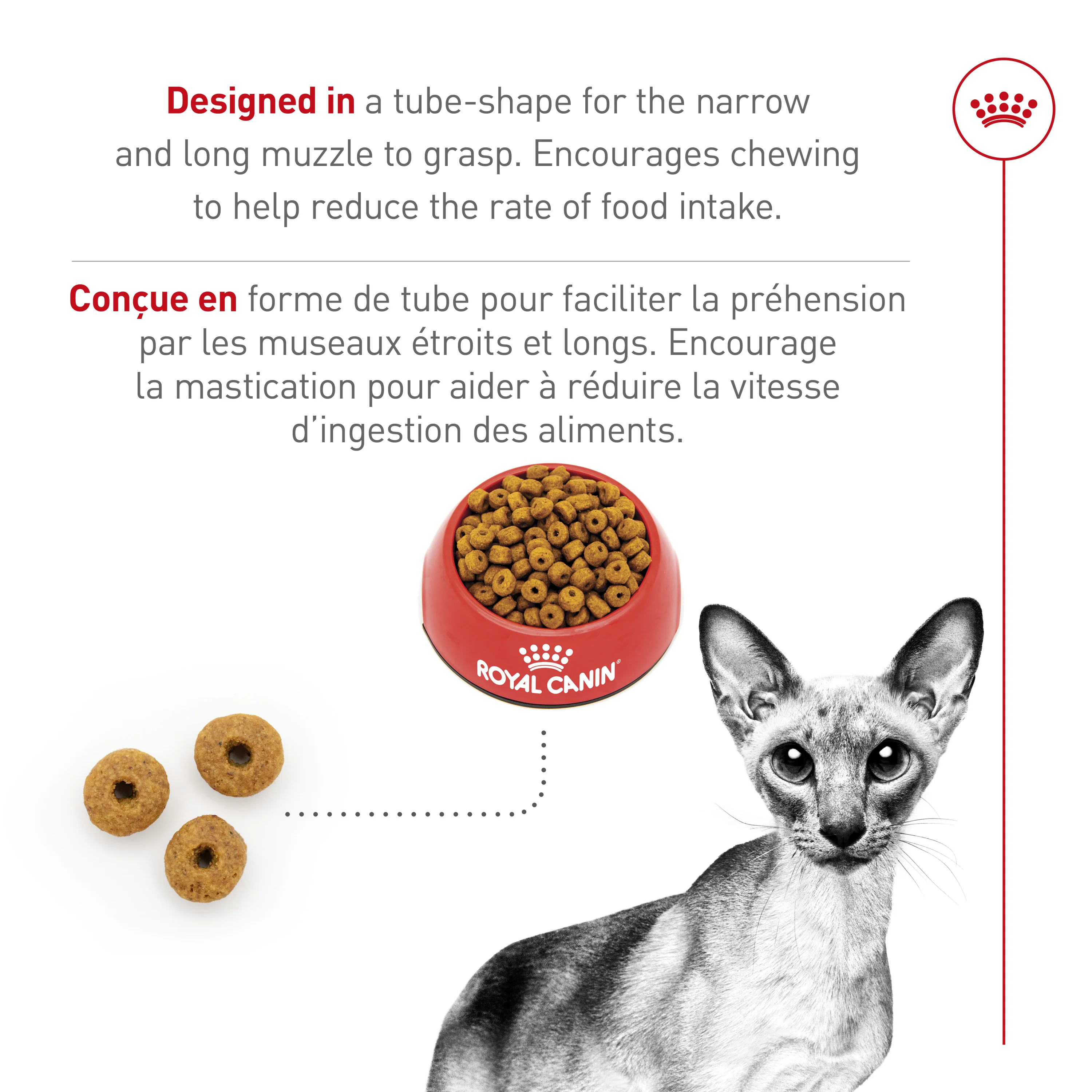 Royal Canin Feline Breed Nutrition Siamese Adult Dry Cat Food - Image 5