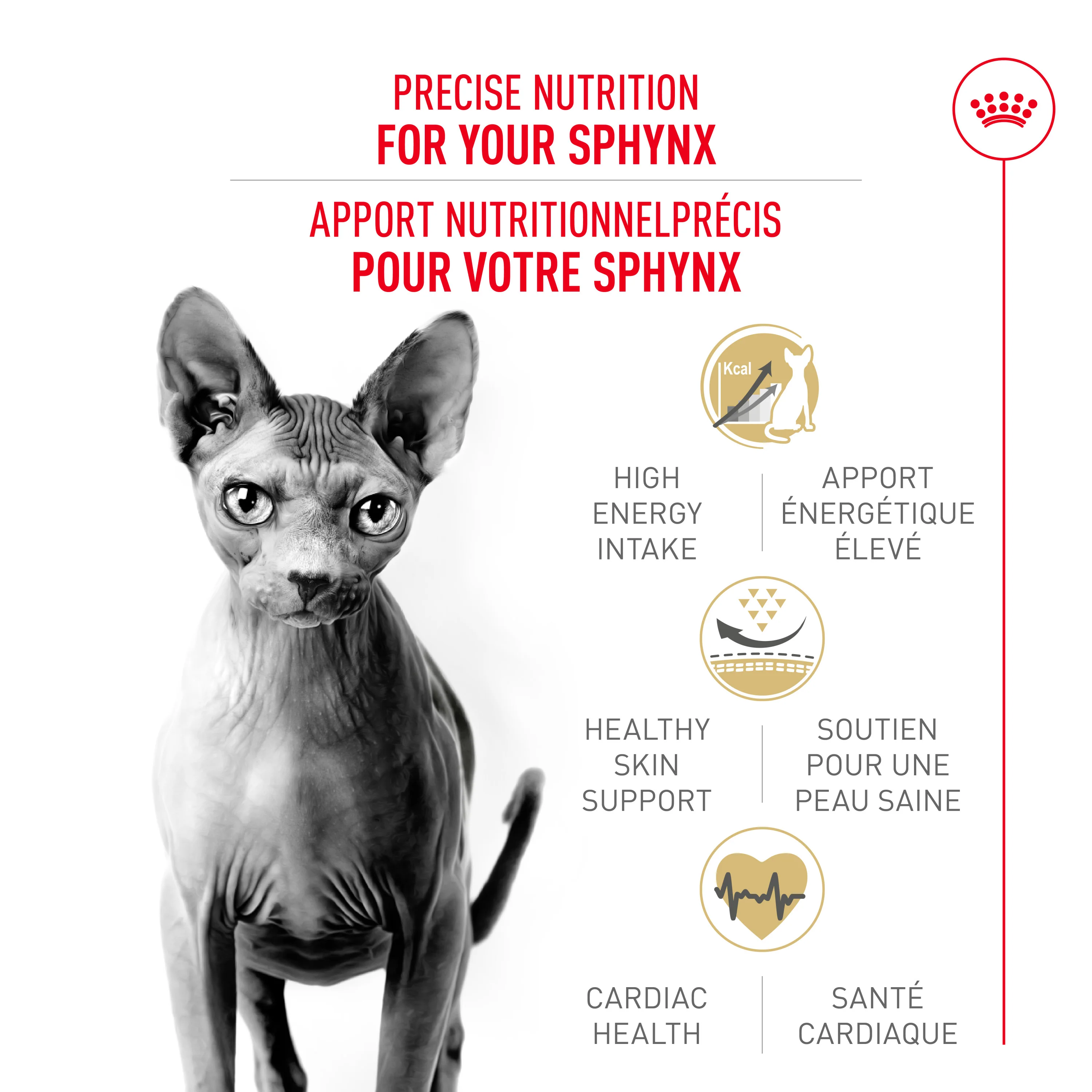 Royal Canin Feline Breed Nutrition Sphynx Adult Dry Cat Food - Image 2