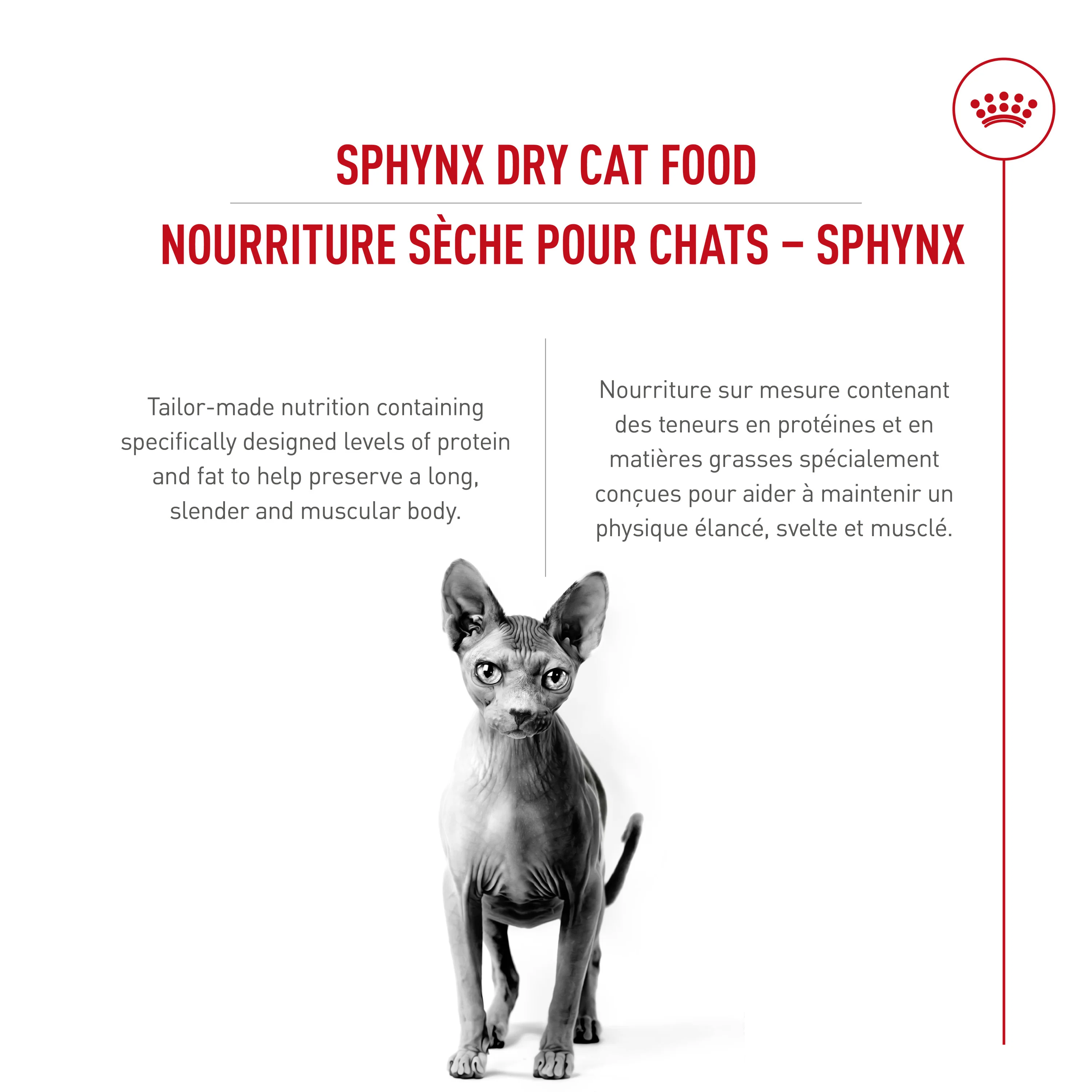 Royal Canin Feline Breed Nutrition Sphynx Adult Dry Cat Food - Image 3