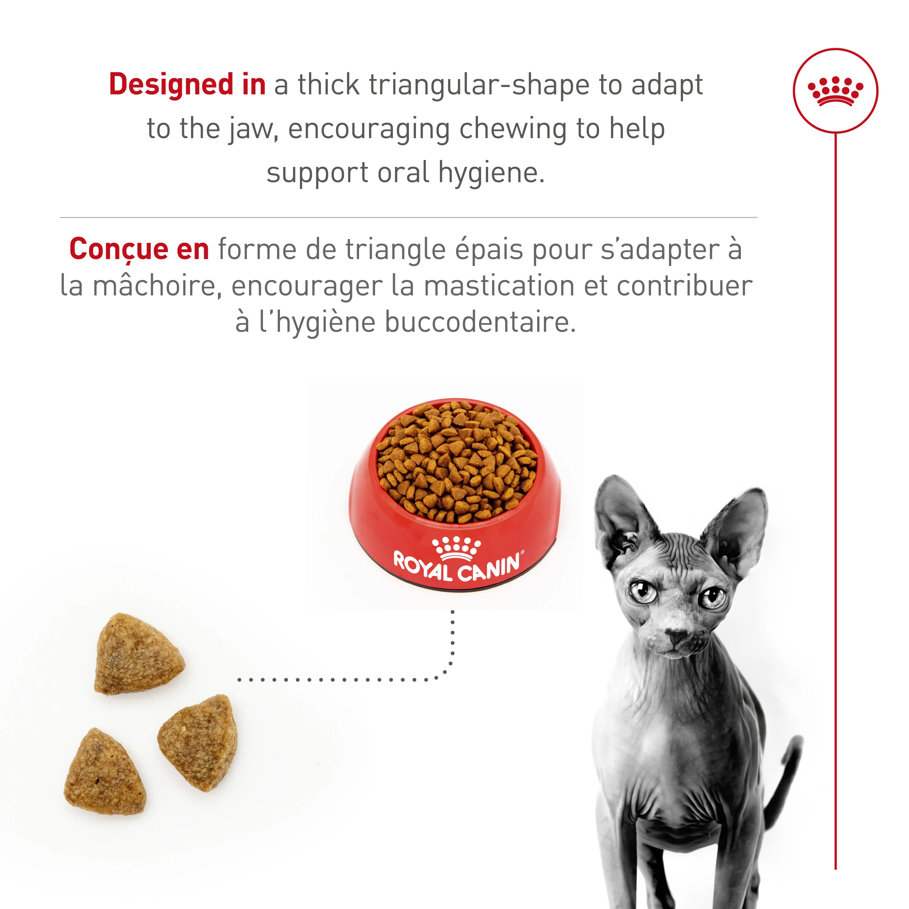 Royal Canin Feline Breed Nutrition Sphynx Adult Dry Cat Food - Image 5