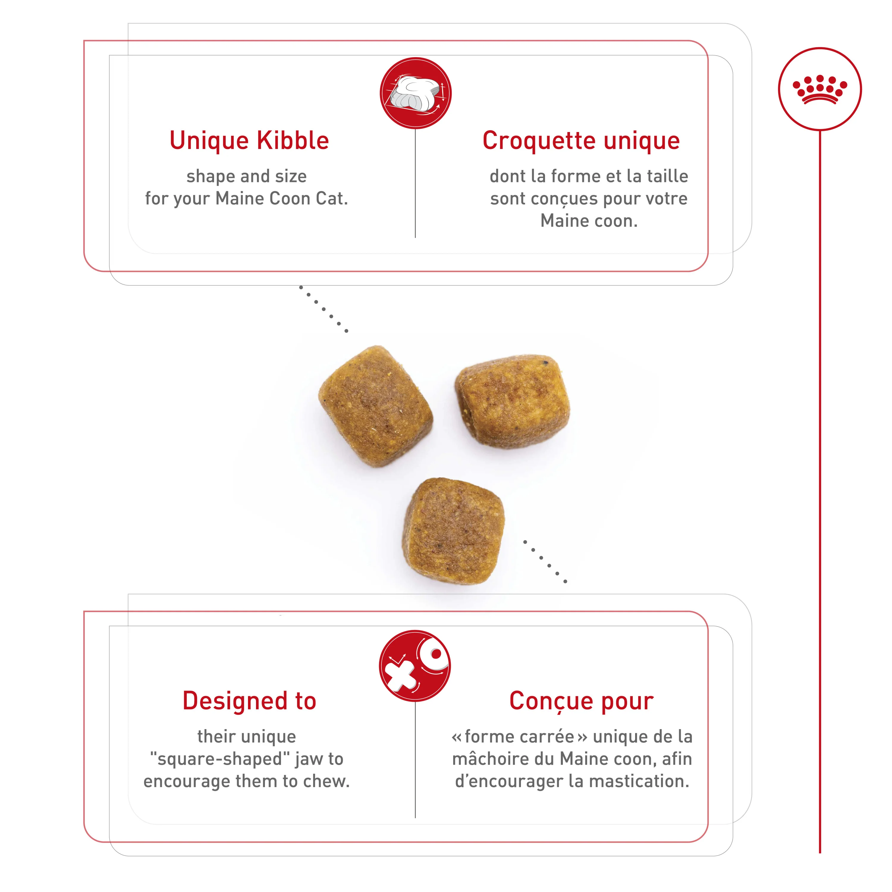 Royal Canin® Feline Breed Nutrition™ Maine Coon Dry Cat Food - Image 4