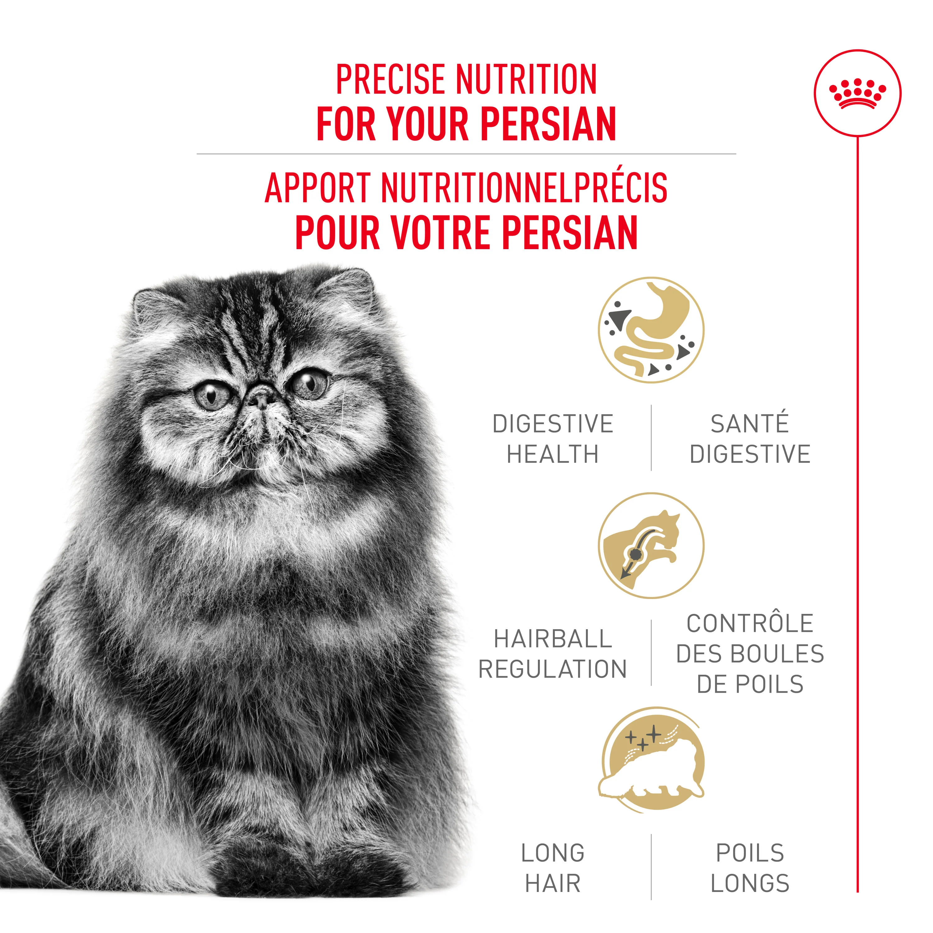 Royal Canin® Feline Breed Nutrition™ Persian Adult Dry Cat Food - Image 2
