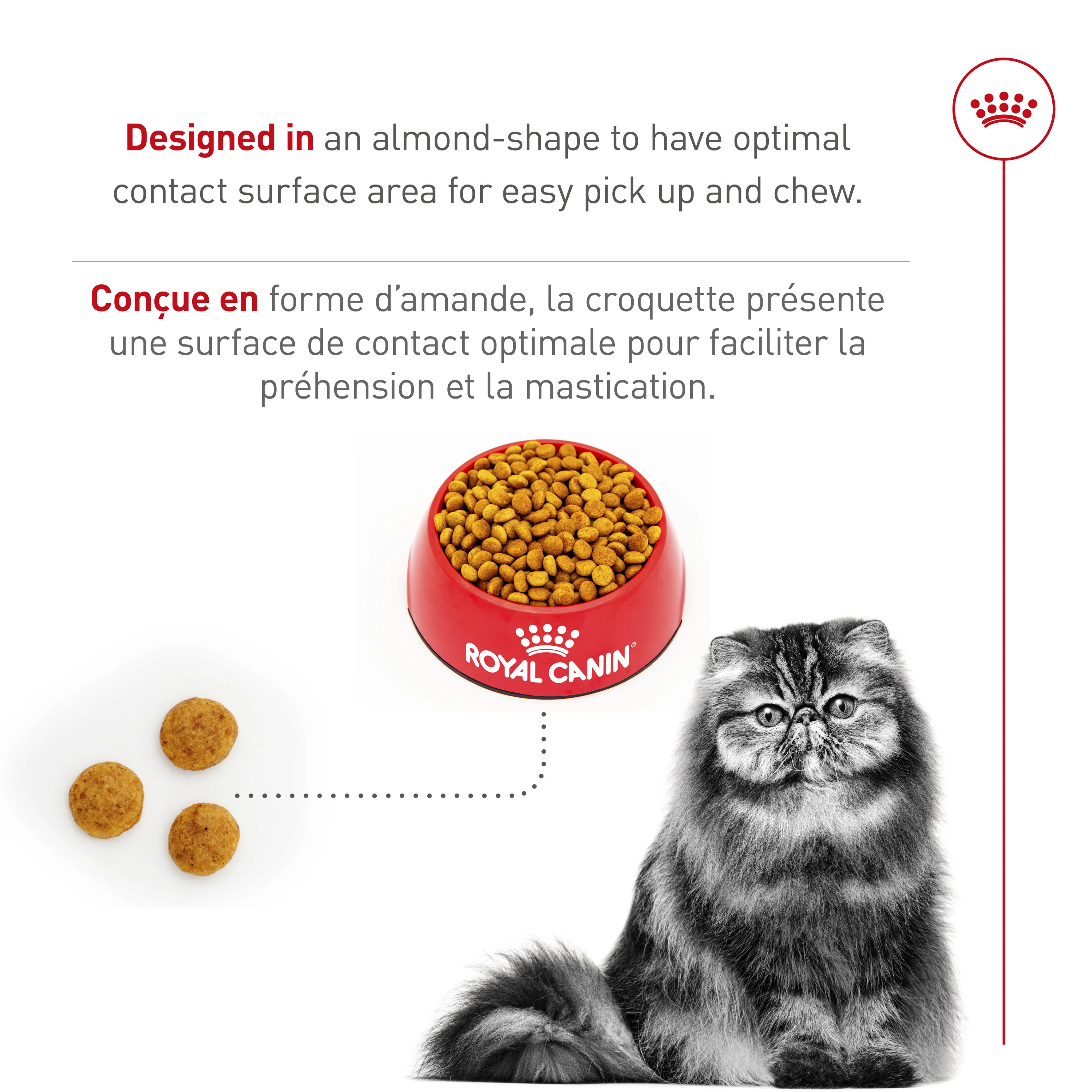 Royal Canin® Feline Breed Nutrition™ Persian Adult Dry Cat Food - Image 3