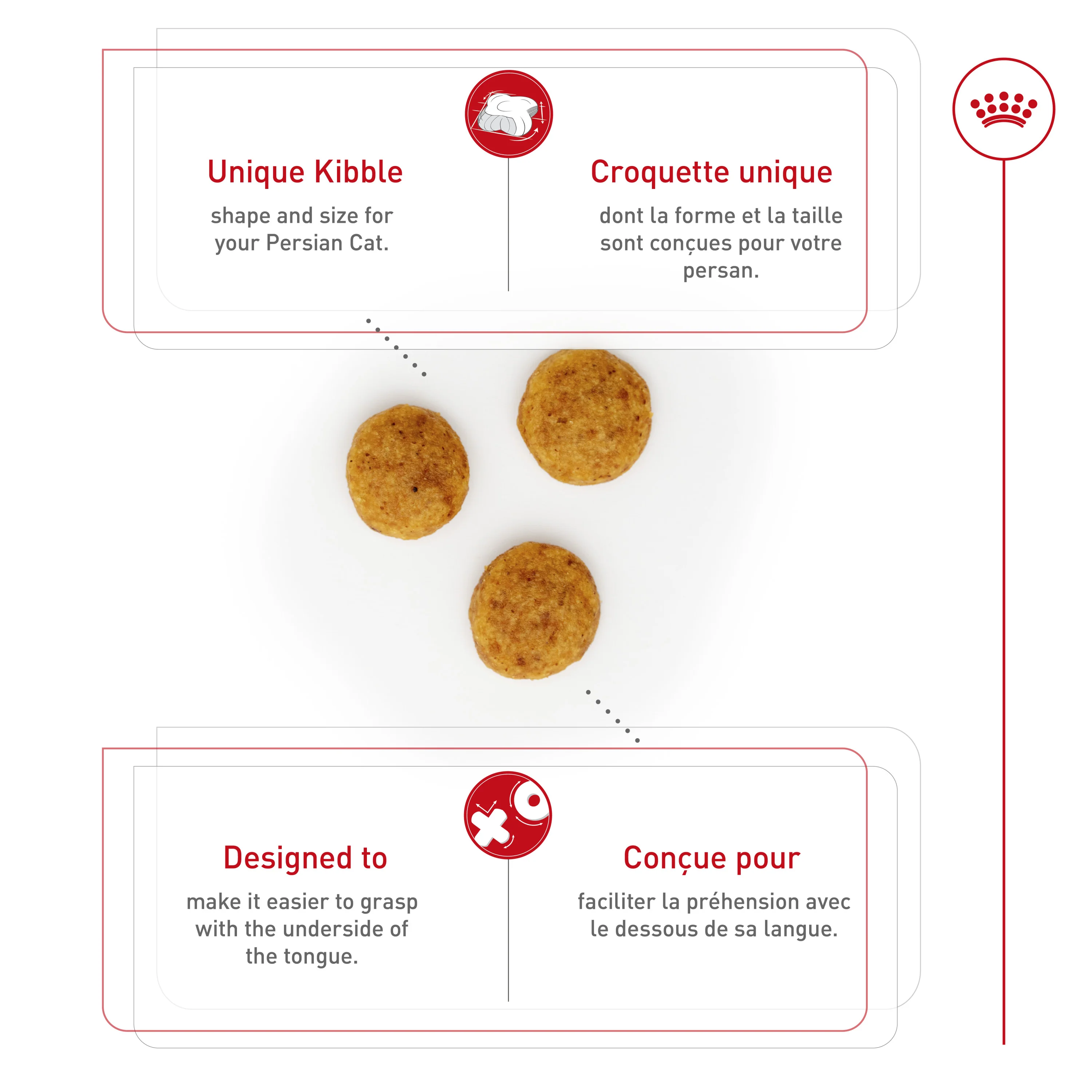 Royal Canin® Feline Breed Nutrition™ Persian Adult Dry Cat Food - Image 4
