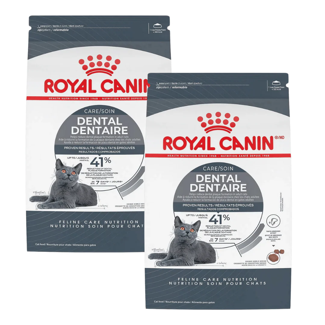 Royal Canin Feline Care Nutrition Dental Care Dry Cat Food - Image 10