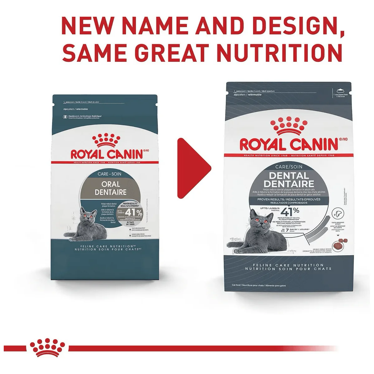 Royal Canin Feline Care Nutrition Dental Care Dry Cat Food - Image 3