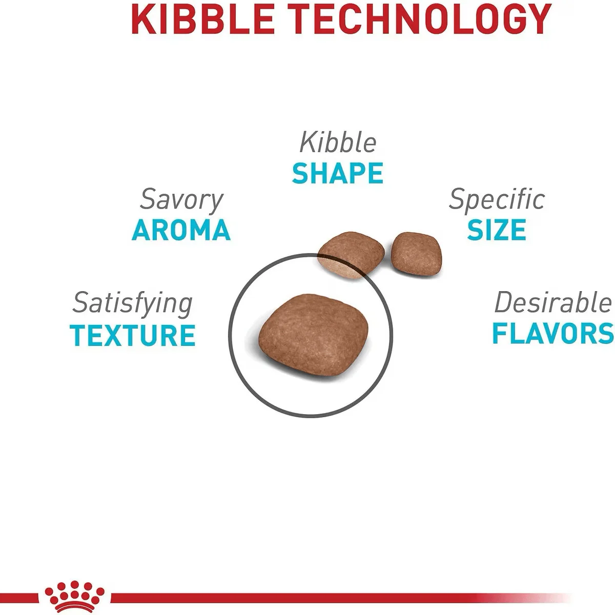 Royal Canin® Feline Care Nutrition™ Urinary Care Dry Cat Food - Image 4