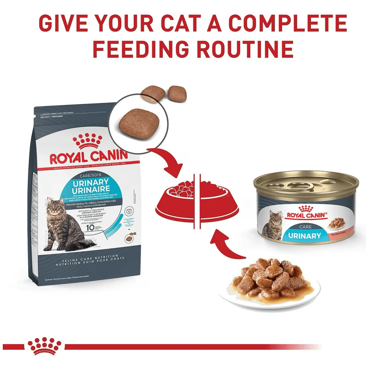 Royal Canin® Feline Care Nutrition™ Urinary Care Dry Cat Food - Image 7