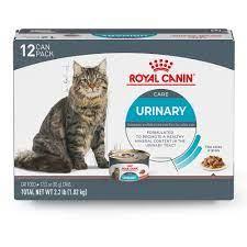 Royal Canin® Feline Care Nutrition™ Urinary Care Thin Slices in Gravy Cat Food - Image 12
