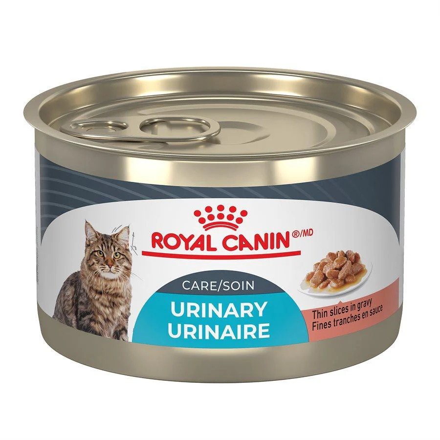 Royal Canin® Feline Care Nutrition™ Urinary Care Thin Slices in Gravy Cat Food - Image 9