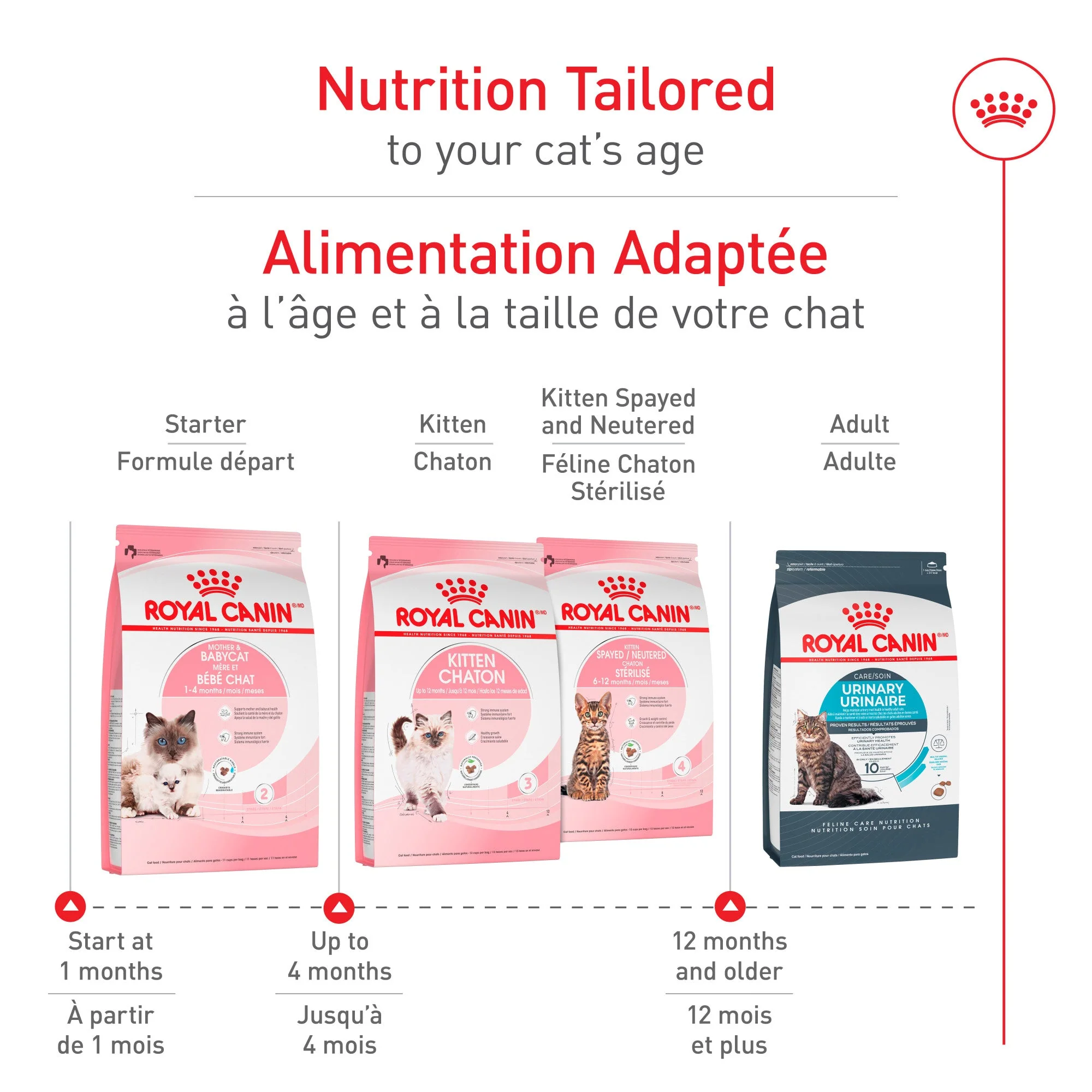 Royal Canin Feline Health Nutrition Mother & Babycat Dry Cat Food - Image 3