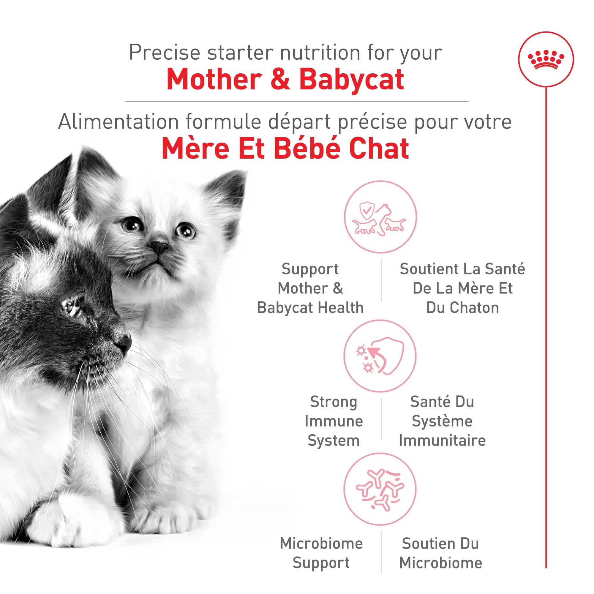 Royal Canin Feline Health Nutrition Mother & Babycat Dry Cat Food - Image 6