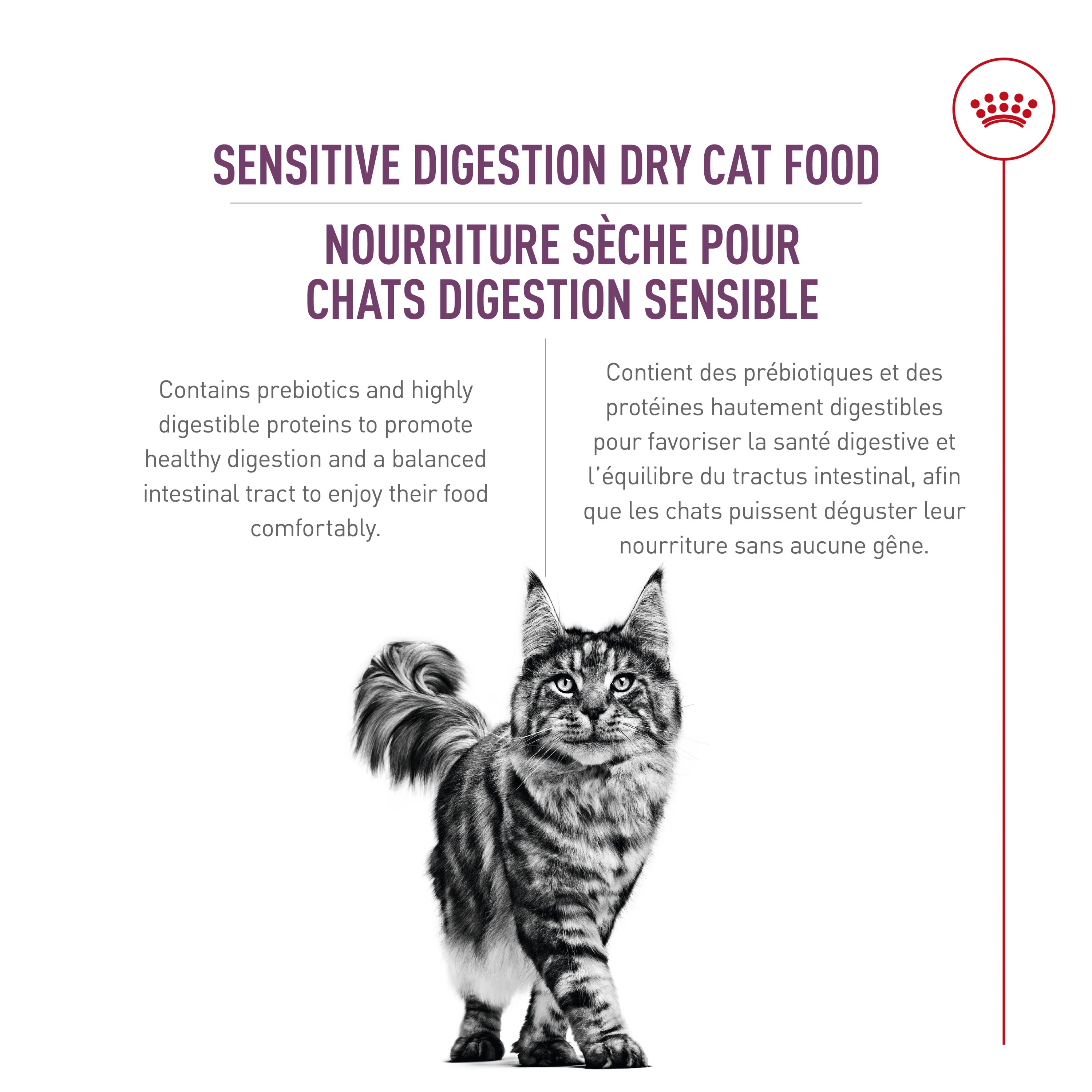 Royal Canin® Feline Health Nutrition™ Sensitive Digestion Dry Adult Cat Food - Image 3