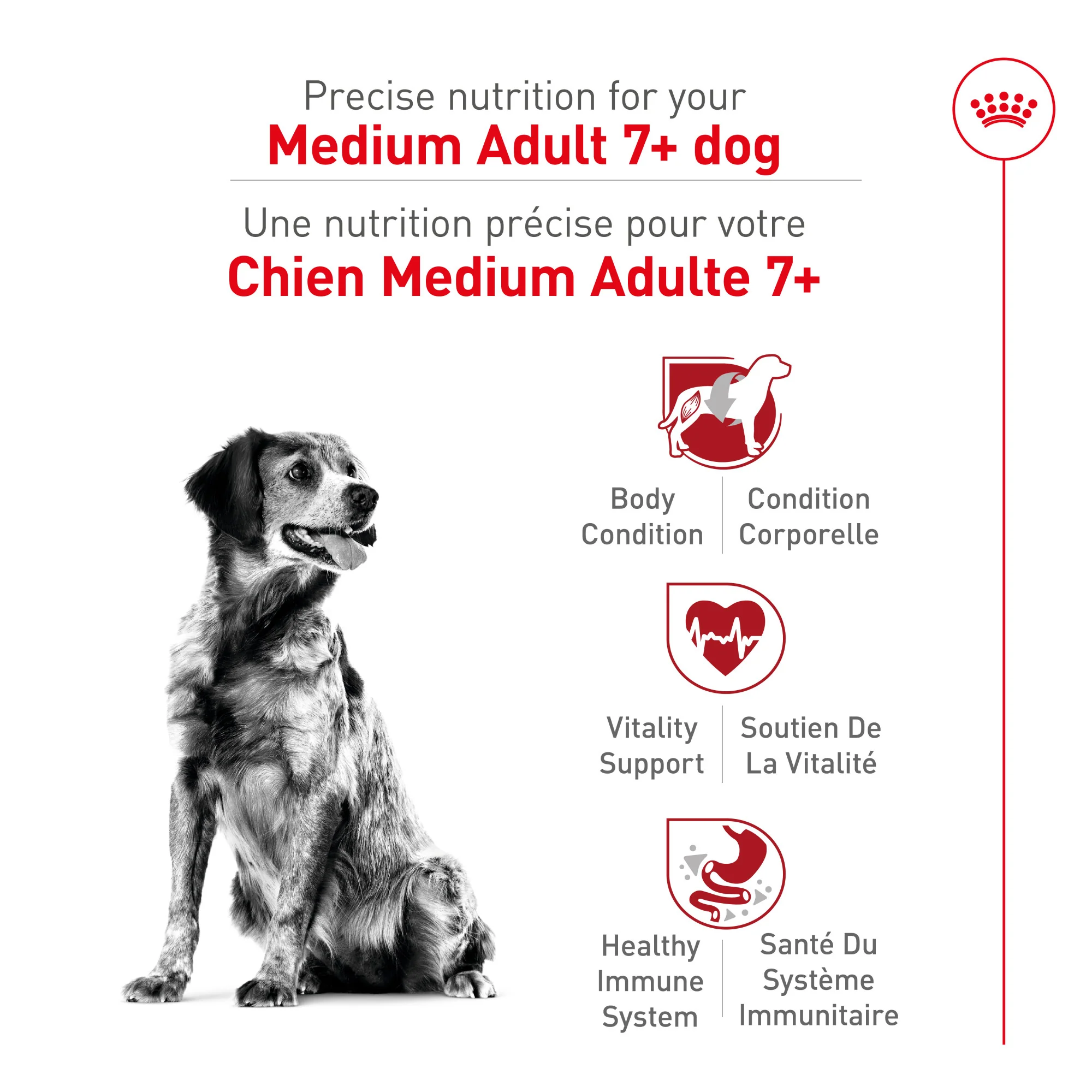 Royal Canin Health Nutrition Medium Adult 7+ Dry Dog Food - Image 3