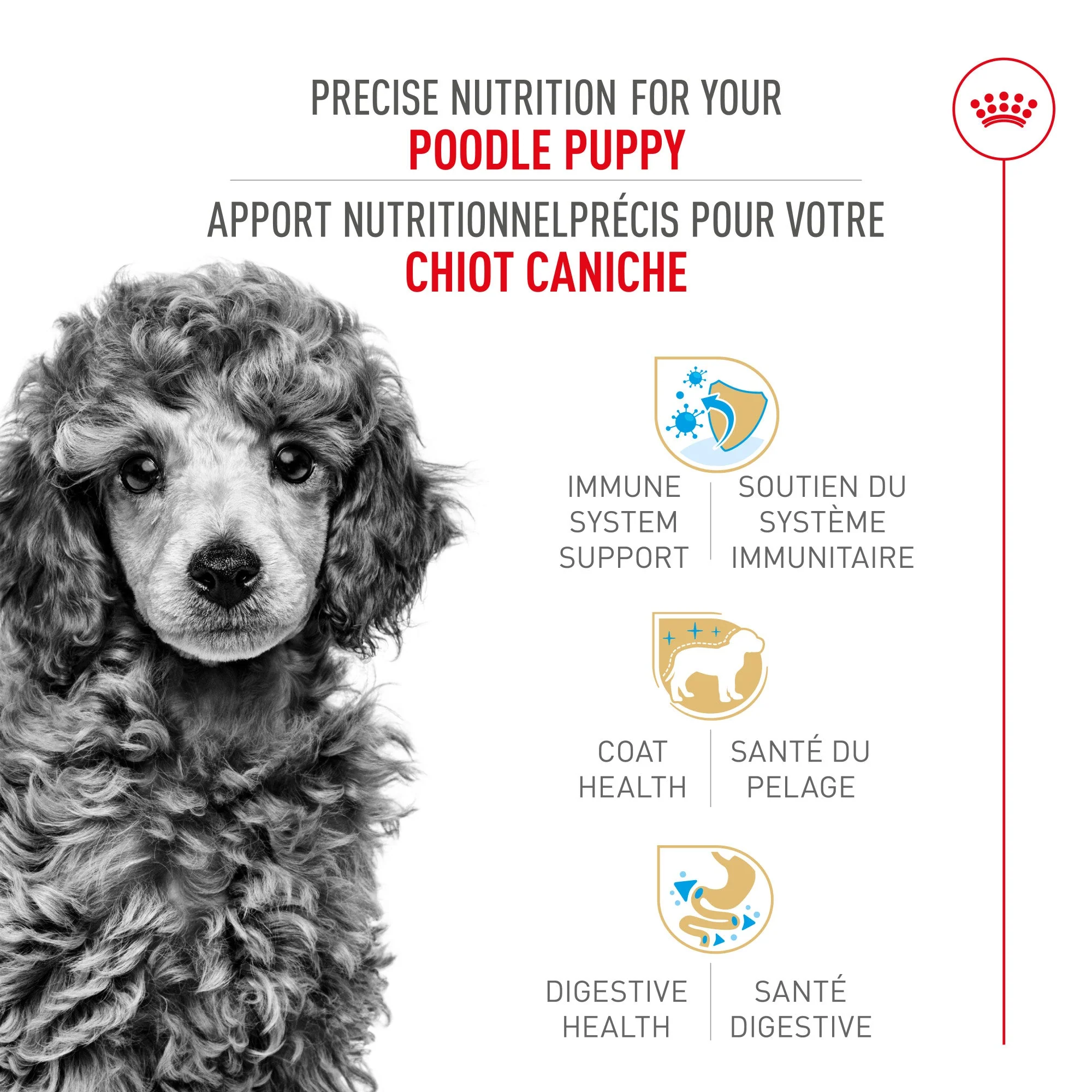 Royal Canin Poodle Puppy Food - Image 2