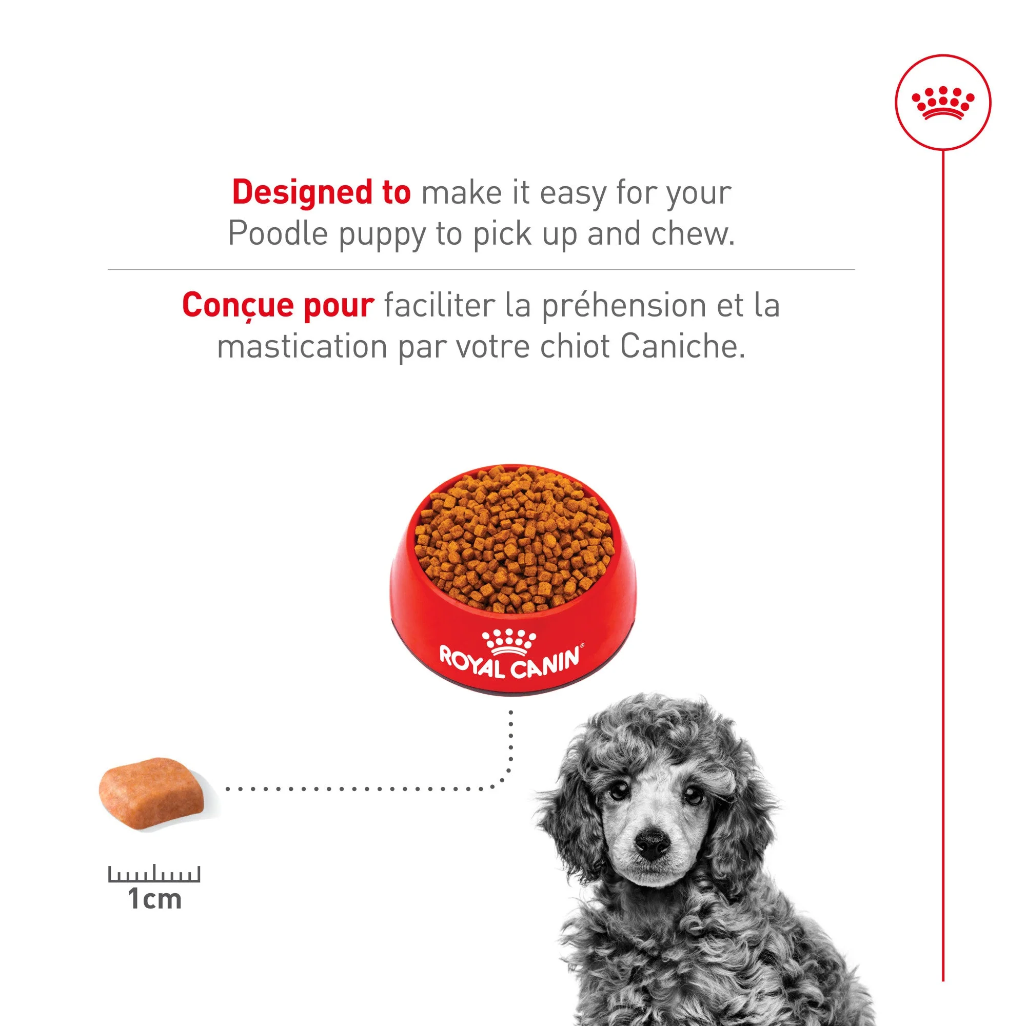Royal Canin Poodle Puppy Food - Image 5