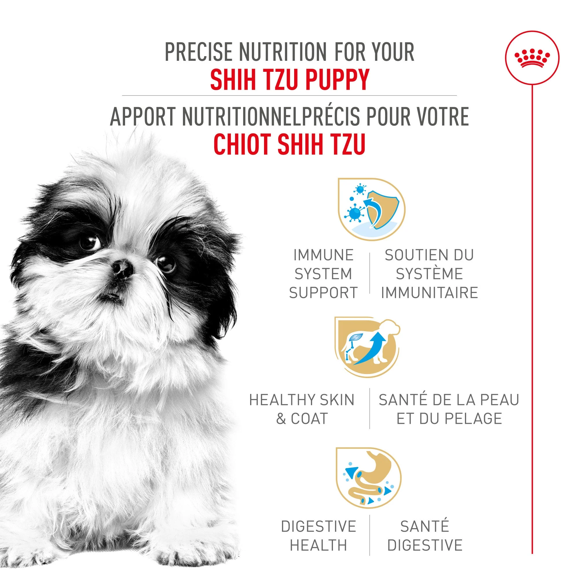 Royal Canin Shih Tzu Puppy Food - Image 2