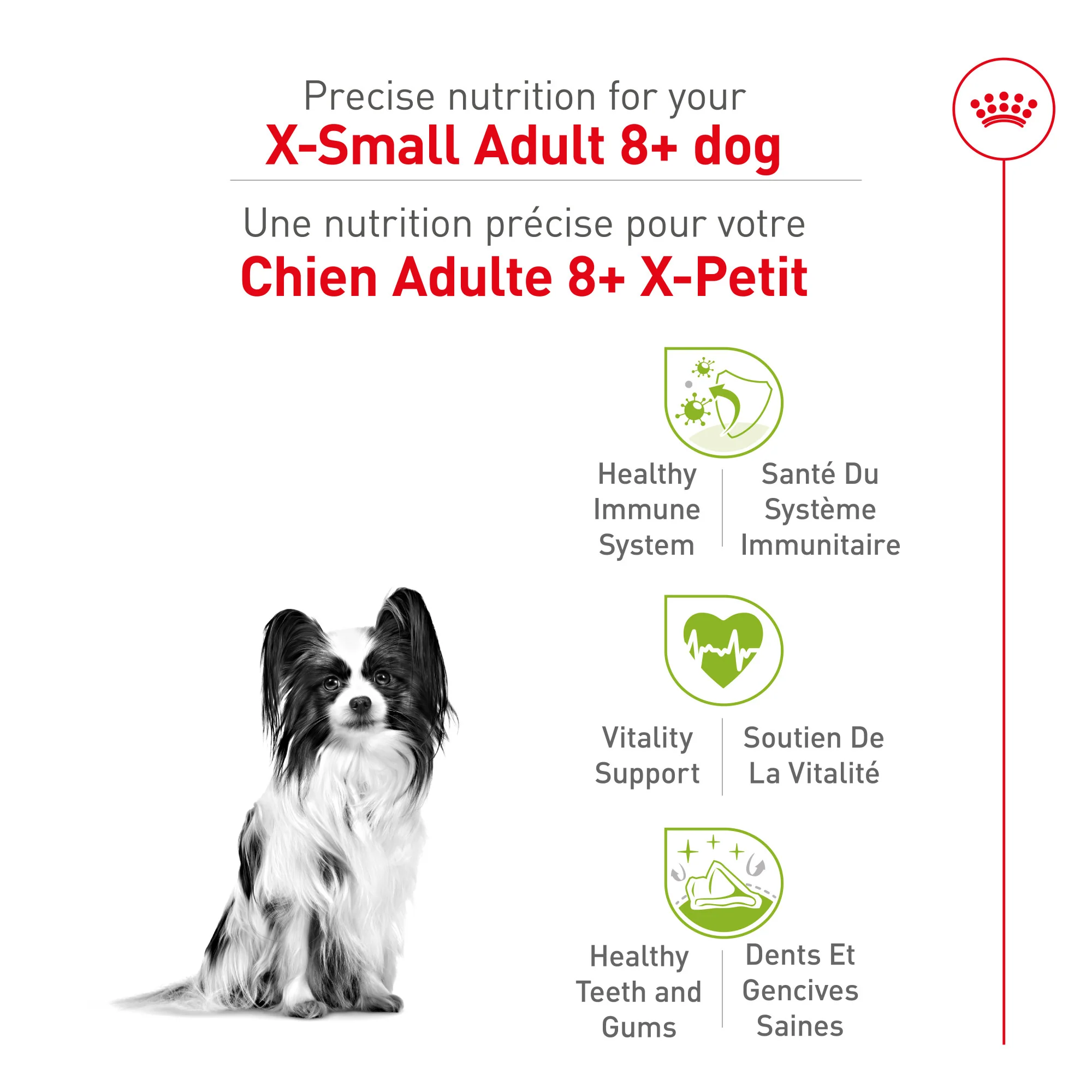 Royal Canin Size Health Nutrition X-Small Mature 8+ Dry Dog Food - Image 3