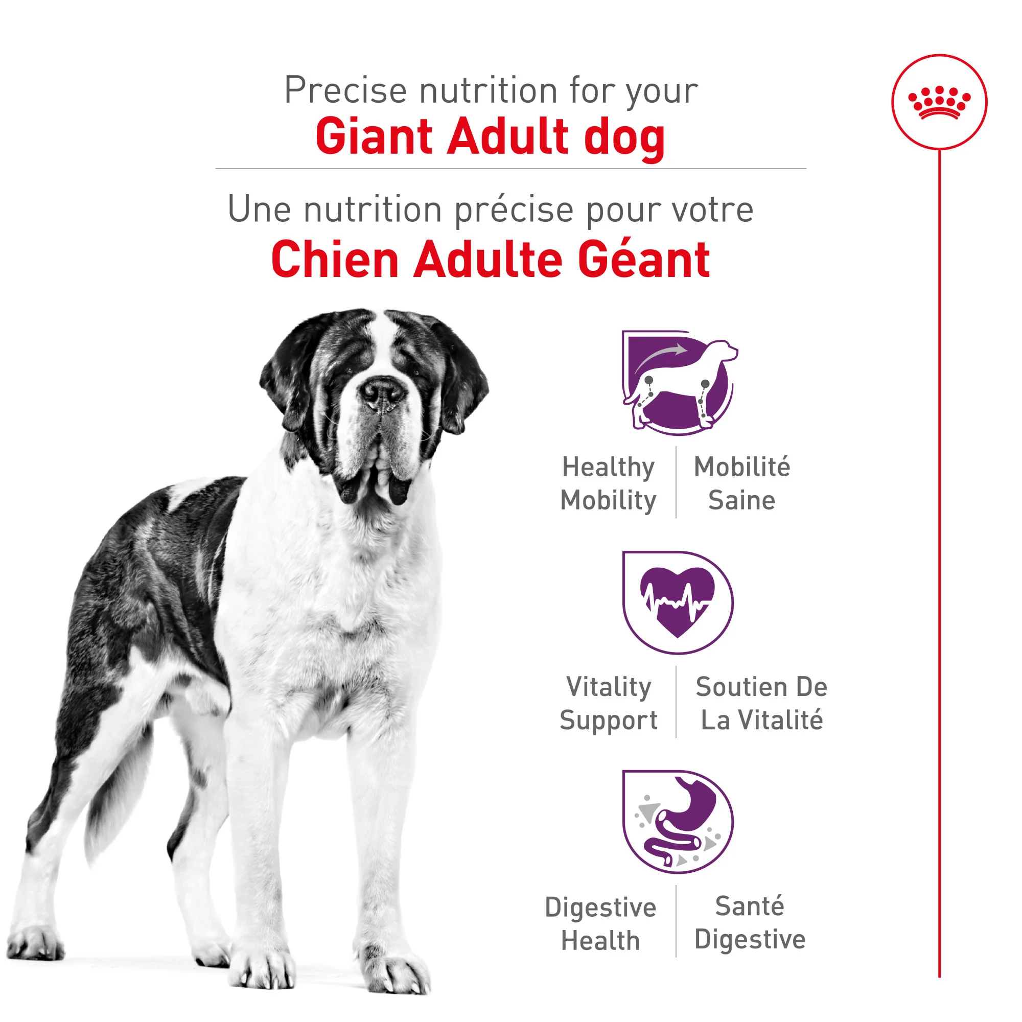 Royal Canin® Size Health Nutrition™ Giant Adult Dry Dog Food - Image 3