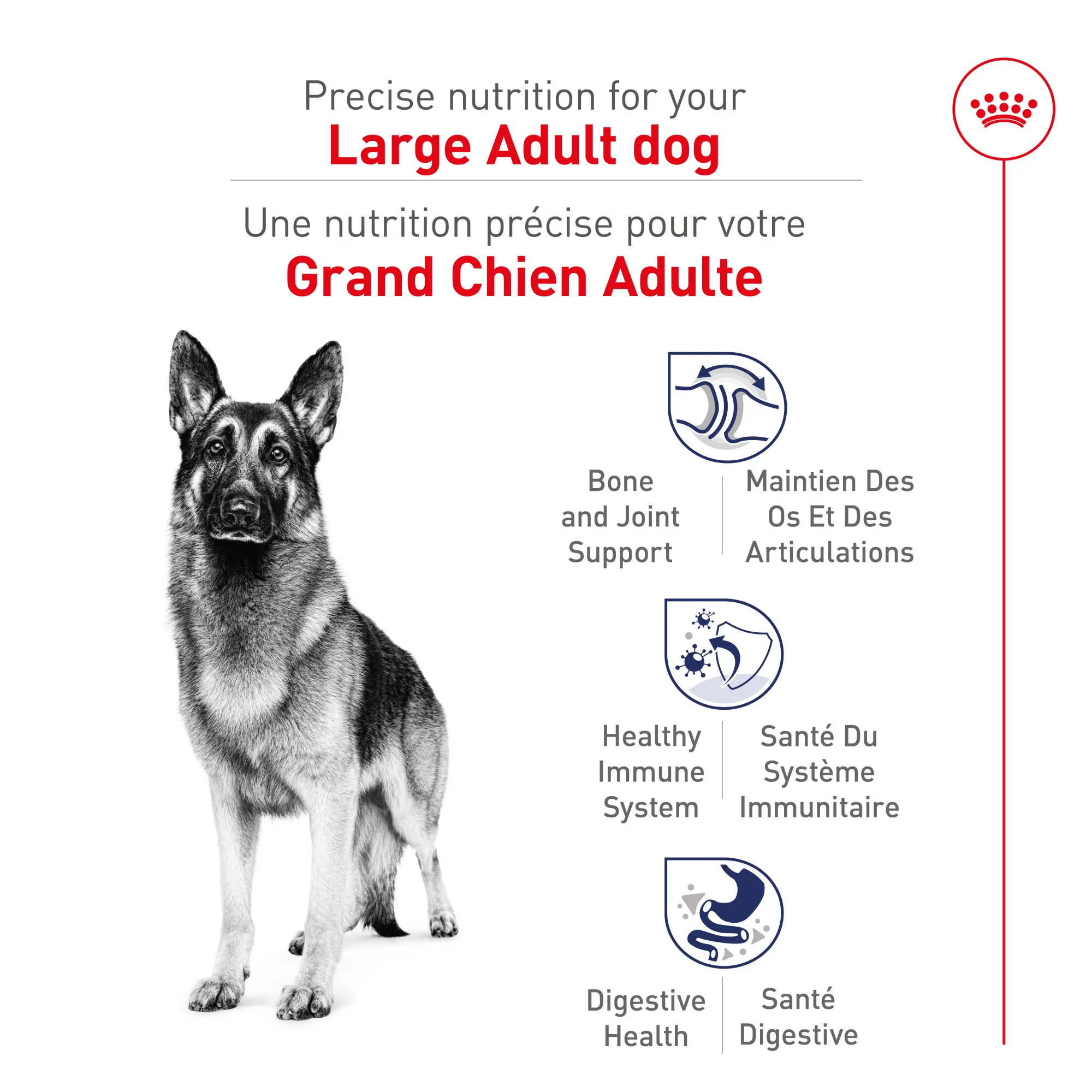 Royal Canin® Size Health Nutrition™ Large Adult Dry Dog Food - Image 3