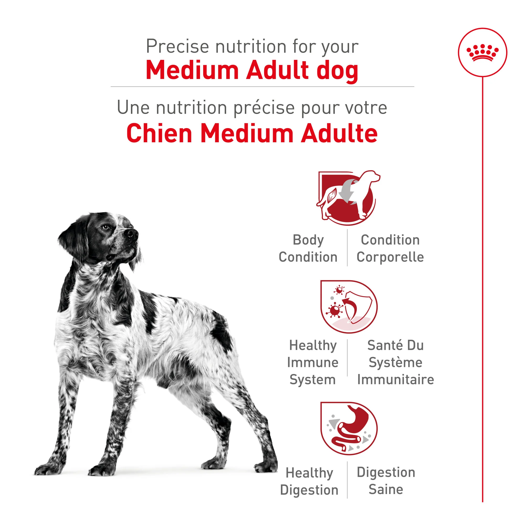 Royal Canin® Size Health Nutrition™ Medium Adult Dry Dog Food - Image 3