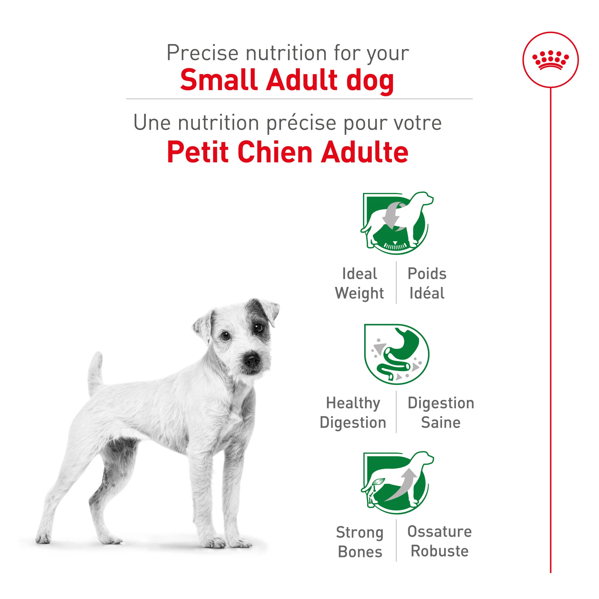 Royal Canin® Size Health Nutrition™ Small Adult Dry Dog Food - Image 3