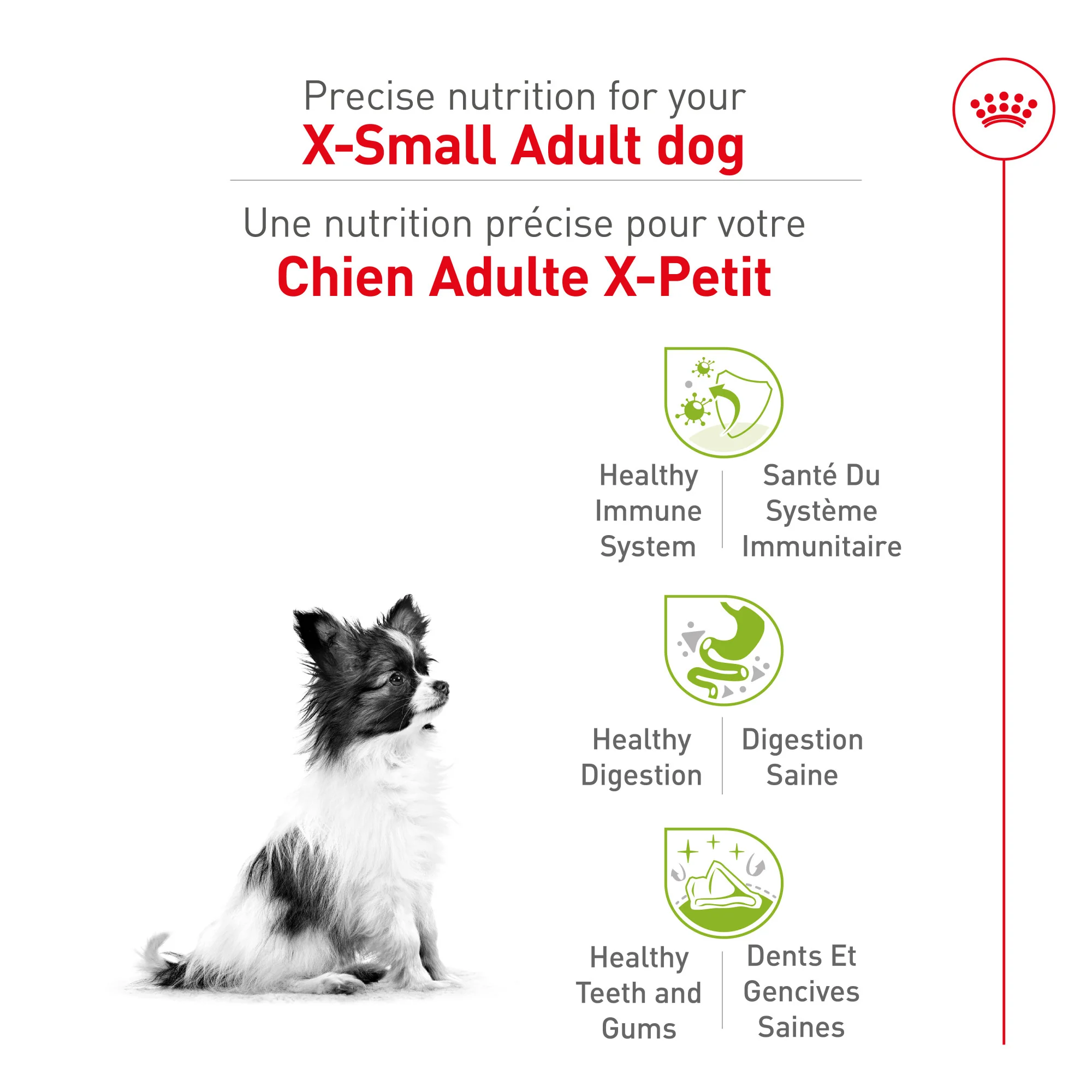 Royal Canin® Size Health Nutrition™ X-Small Adult Dry Dog Food - Image 3