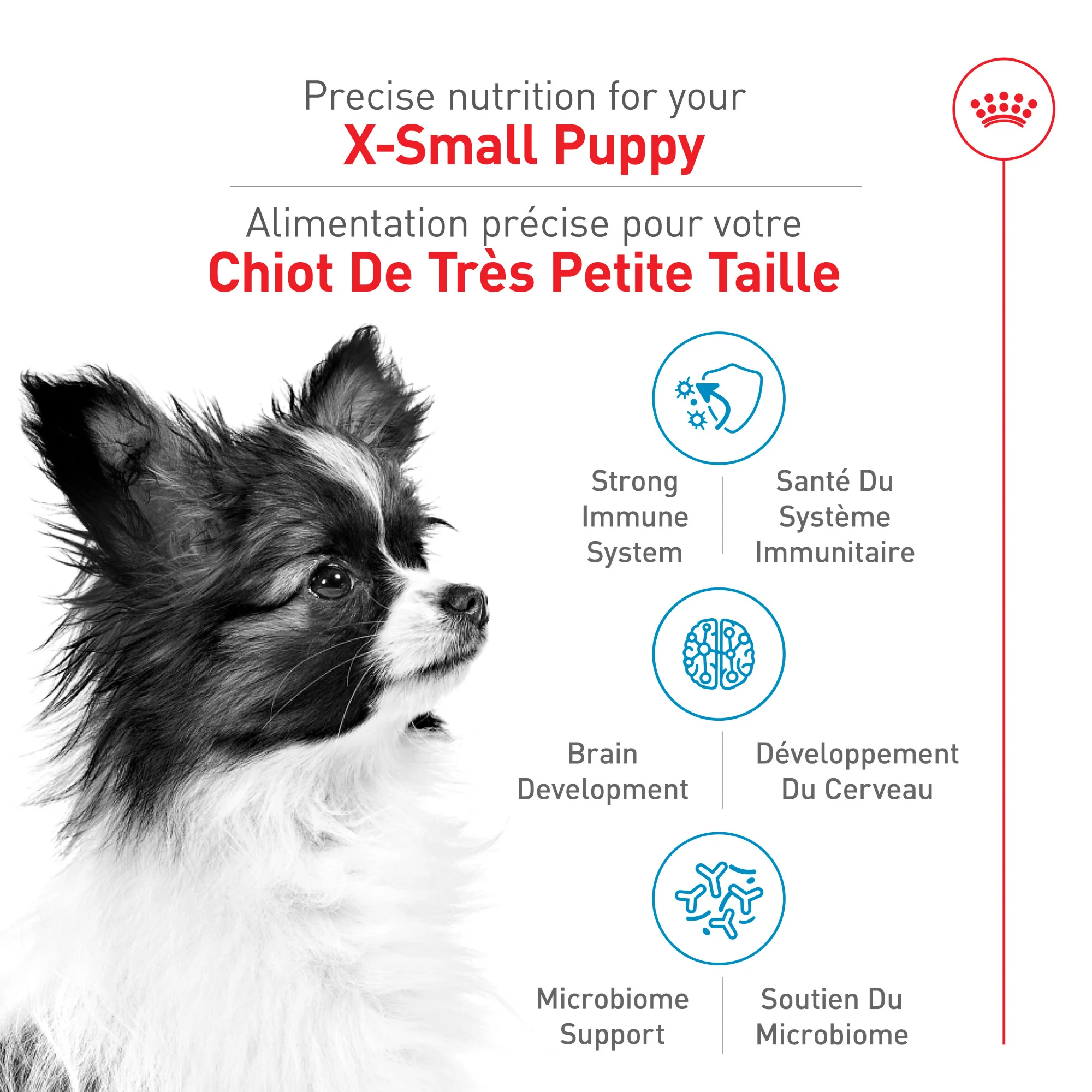 Royal Canin® Size Health Nutrition™ X-Small Puppy Dry Puppy Food - Image 2