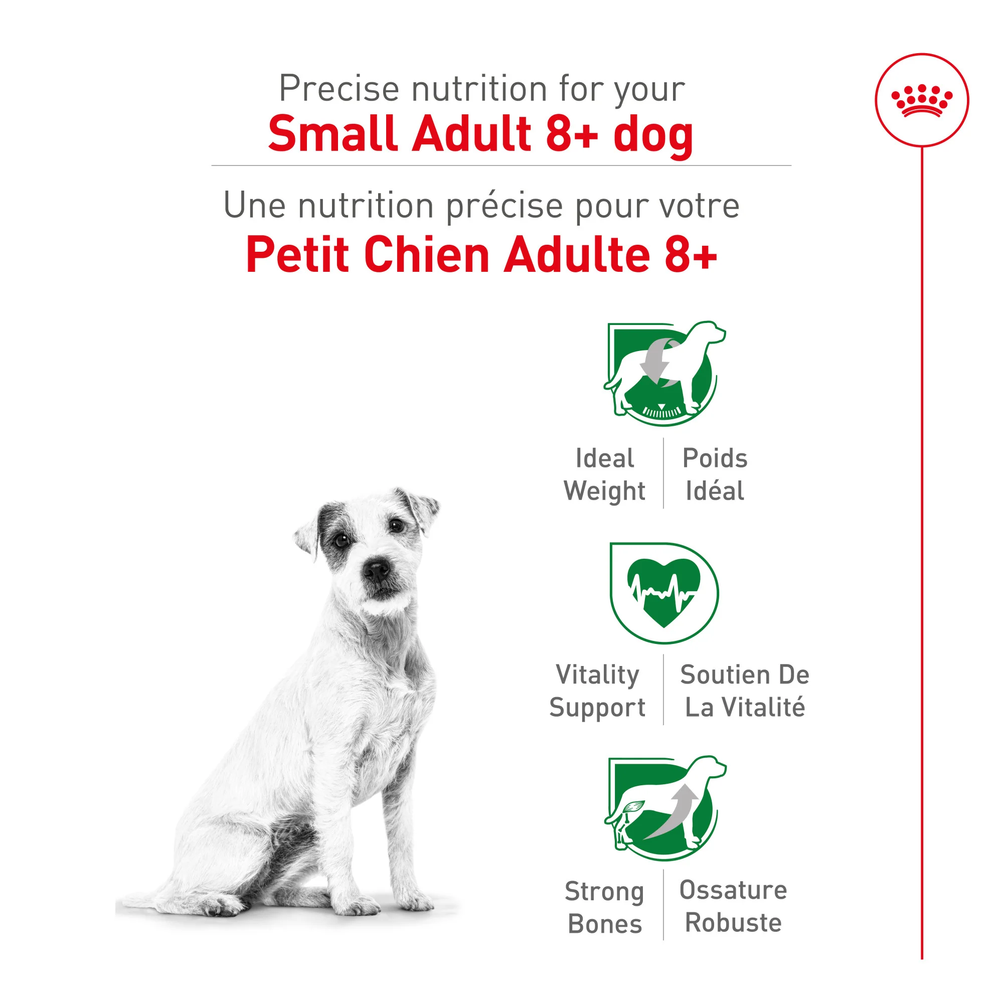 Royal Canin Small Mature 8+ Dog Food - Image 3