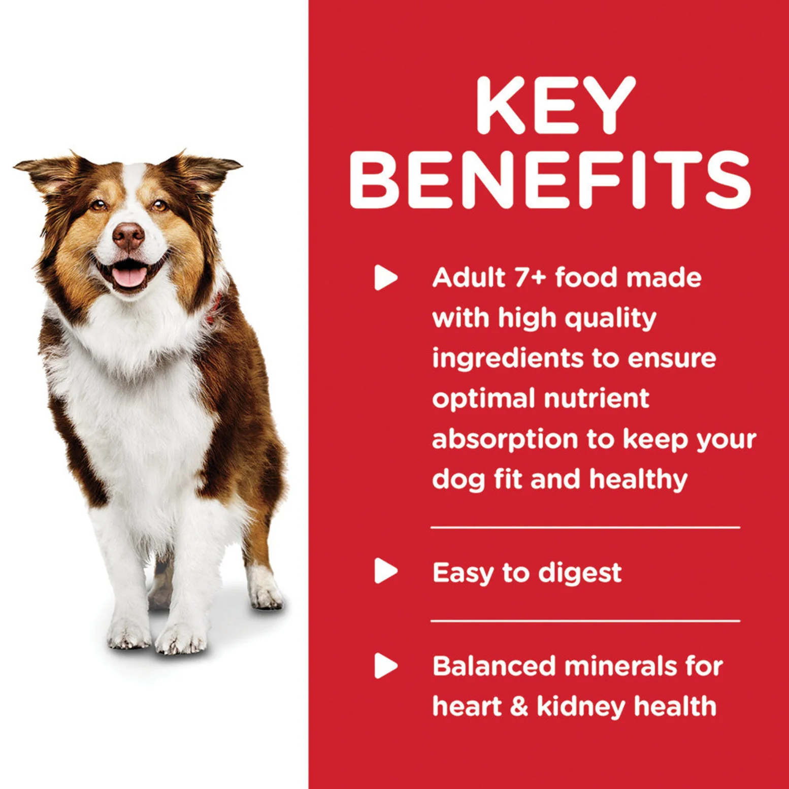 Hill's Science Diet Canine Can Healthy Cuisine Chicken 7+ - Image 3