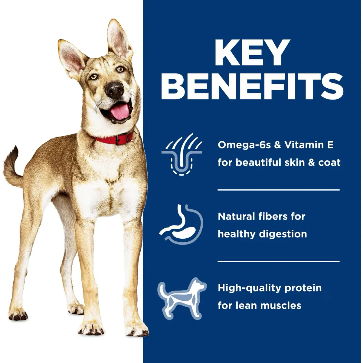 Hill's Science Diet Canine Canned Adult Salmon & Barley - Image 3