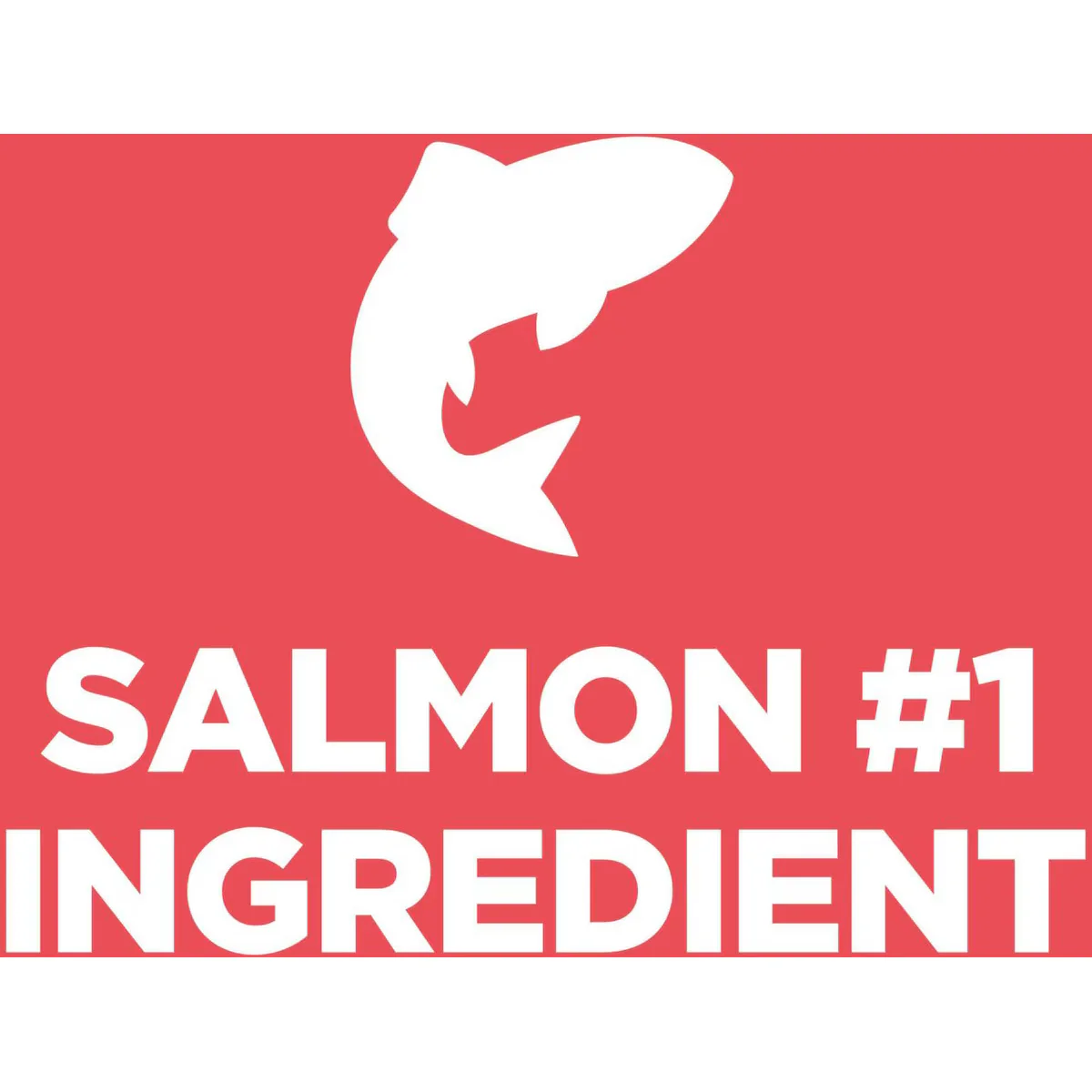 Hill's Science Diet Canine Canned Adult Salmon & Barley - Image 4