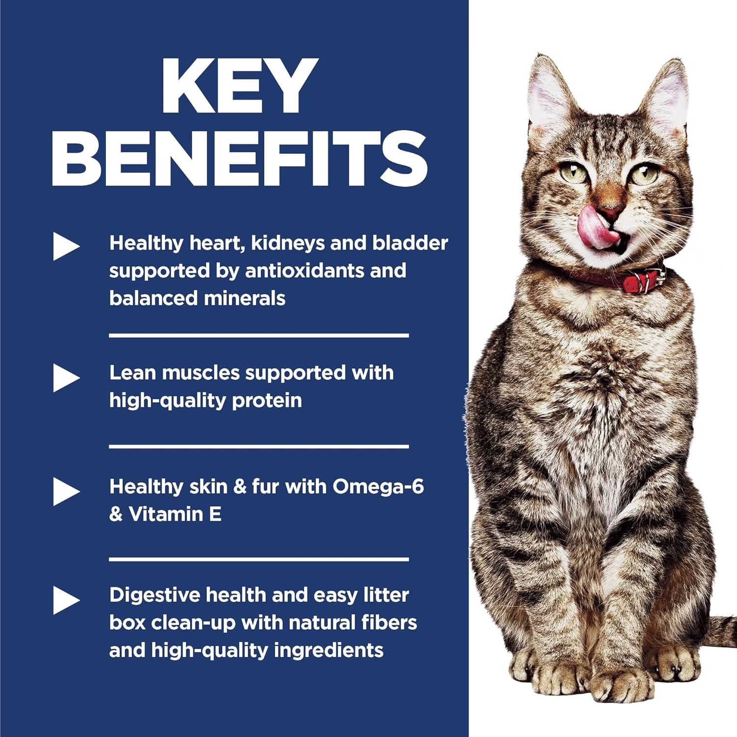 Hill's Science Diet Feline Adult Indoor 7+ - Image 2