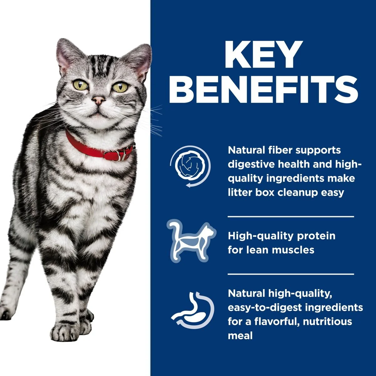 Hill's Science Diet Feline Canned Indoor Salmon & Vegetables - Image 3