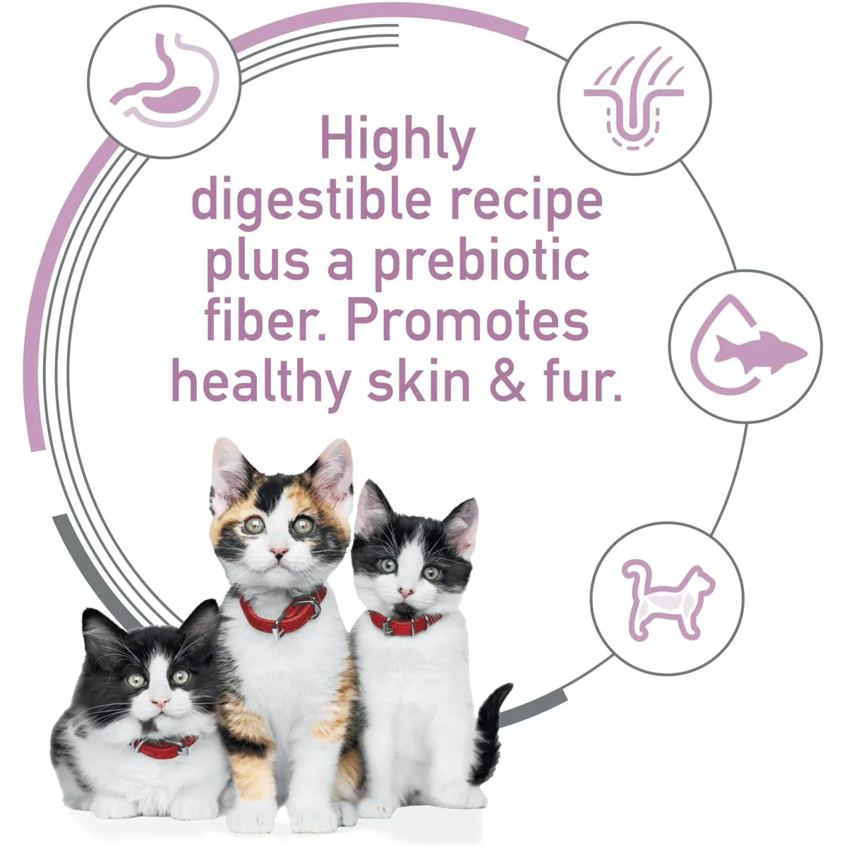 Hill's Science Diet Kitten Canned Sensitive Stomach & Skin Salmon & Vegetable Stew - Image 4