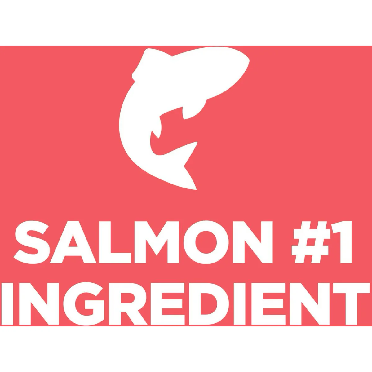 Hill's Science Diet Puppy Sensitive Stomach & Skin Salmon & Vegetable - Image 4