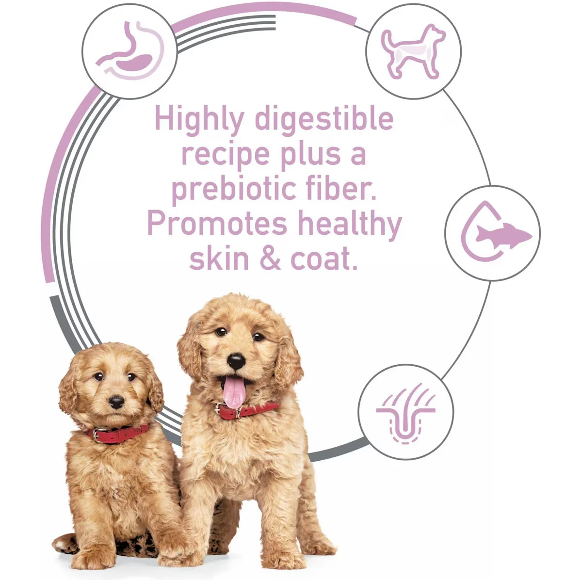 Hill's Science Diet Puppy Sensitive Stomach & Skin Salmon & Vegetable - Image 5