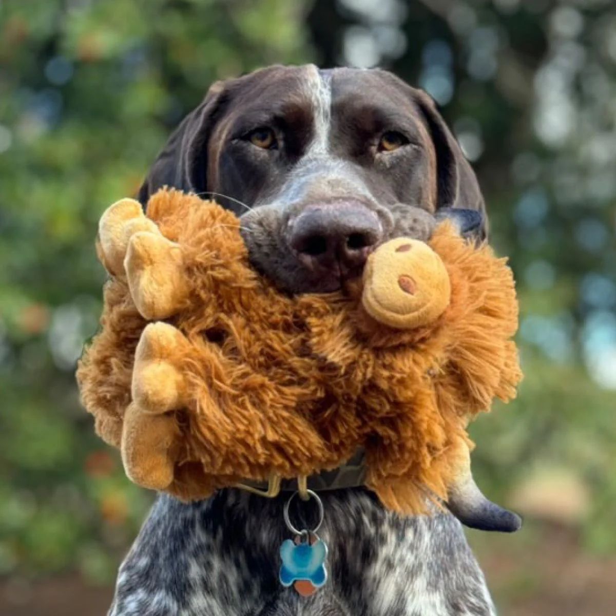 Tall Tails Plush Highland Cow Dog Toy - Image 6