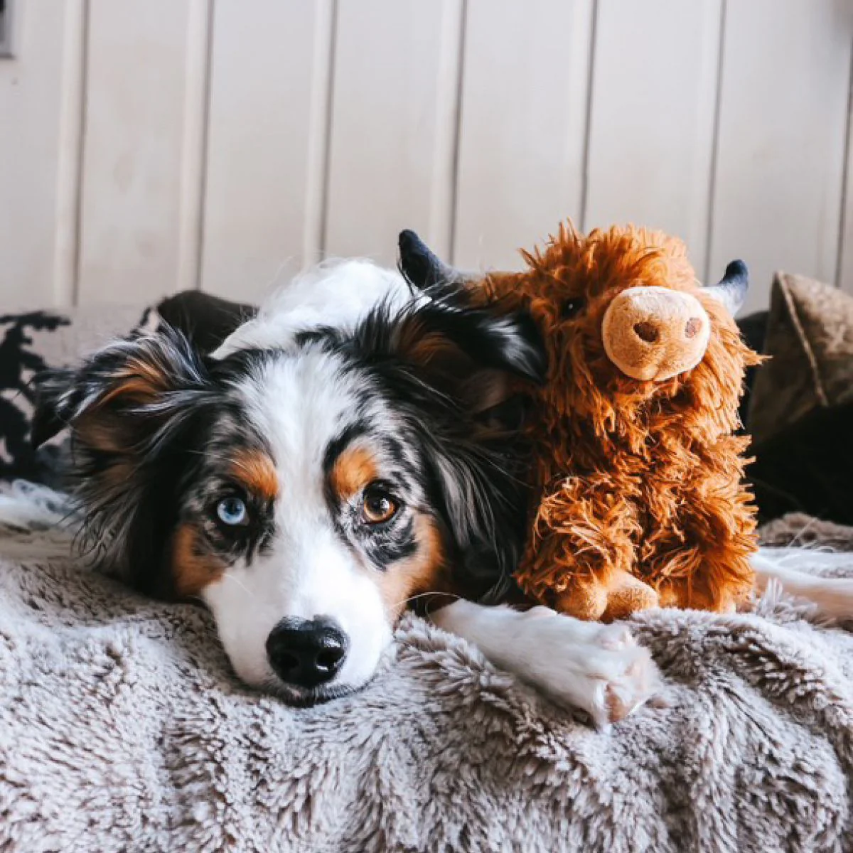 Tall Tails Plush Highland Cow Dog Toy - Image 7