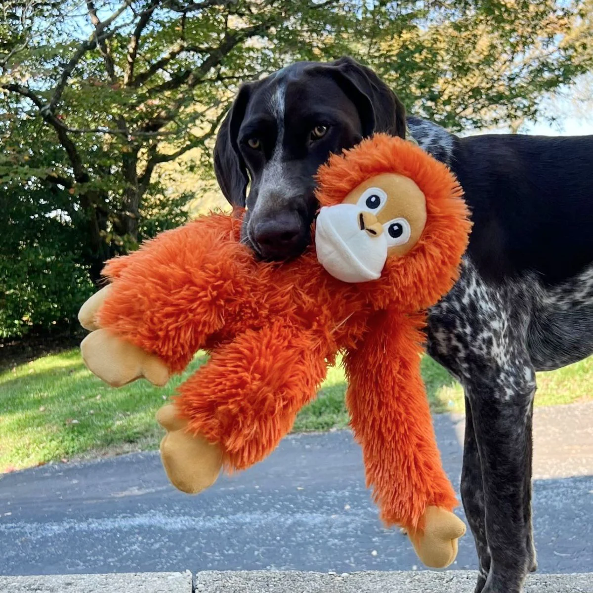 Tall Tails Plush Orangutan With Squeaker & Interior Rope Dog Toy - Image 5