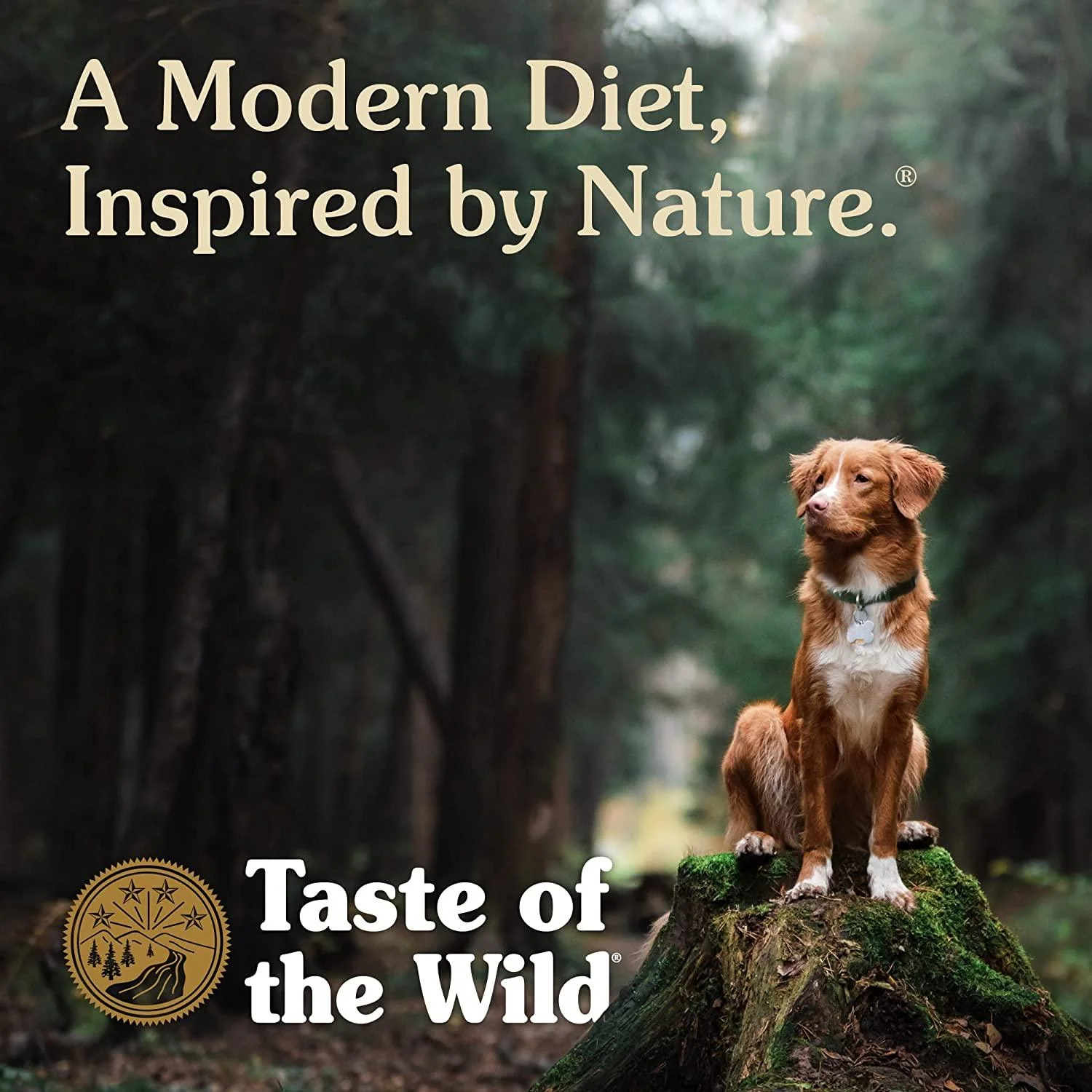 Taste Of The Wild Dog Food High Prairie - Image 5