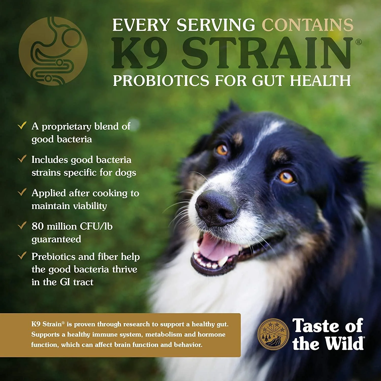 Taste Of The Wild Puppy Food High Prairie - Image 4
