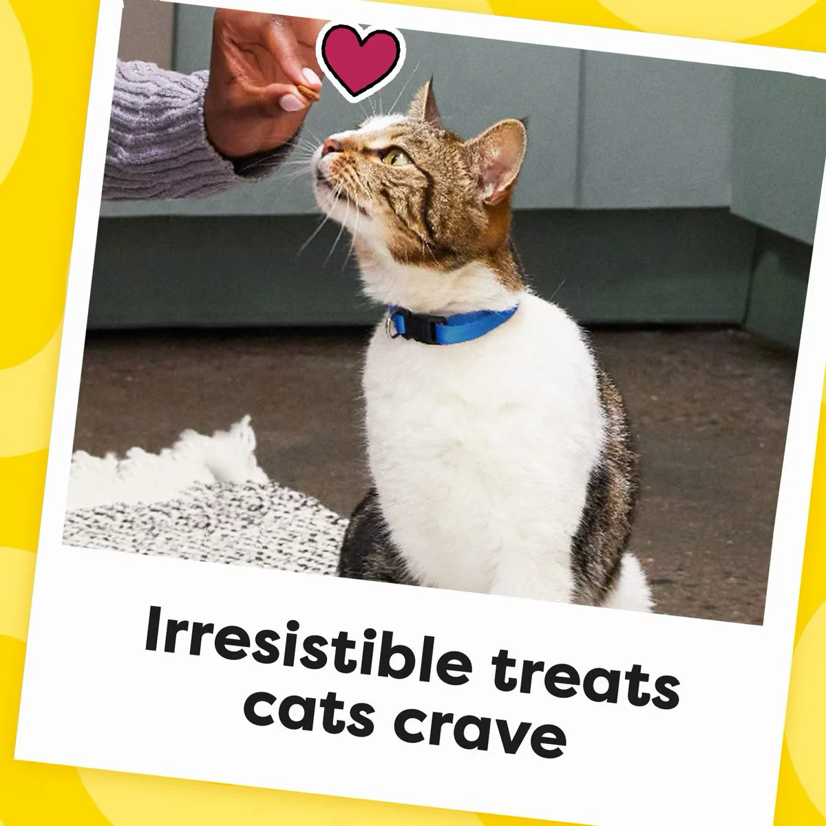 Temptations Classic Tempting Tuna Flavor Soft & Crunchy Cat Treats - Image 7
